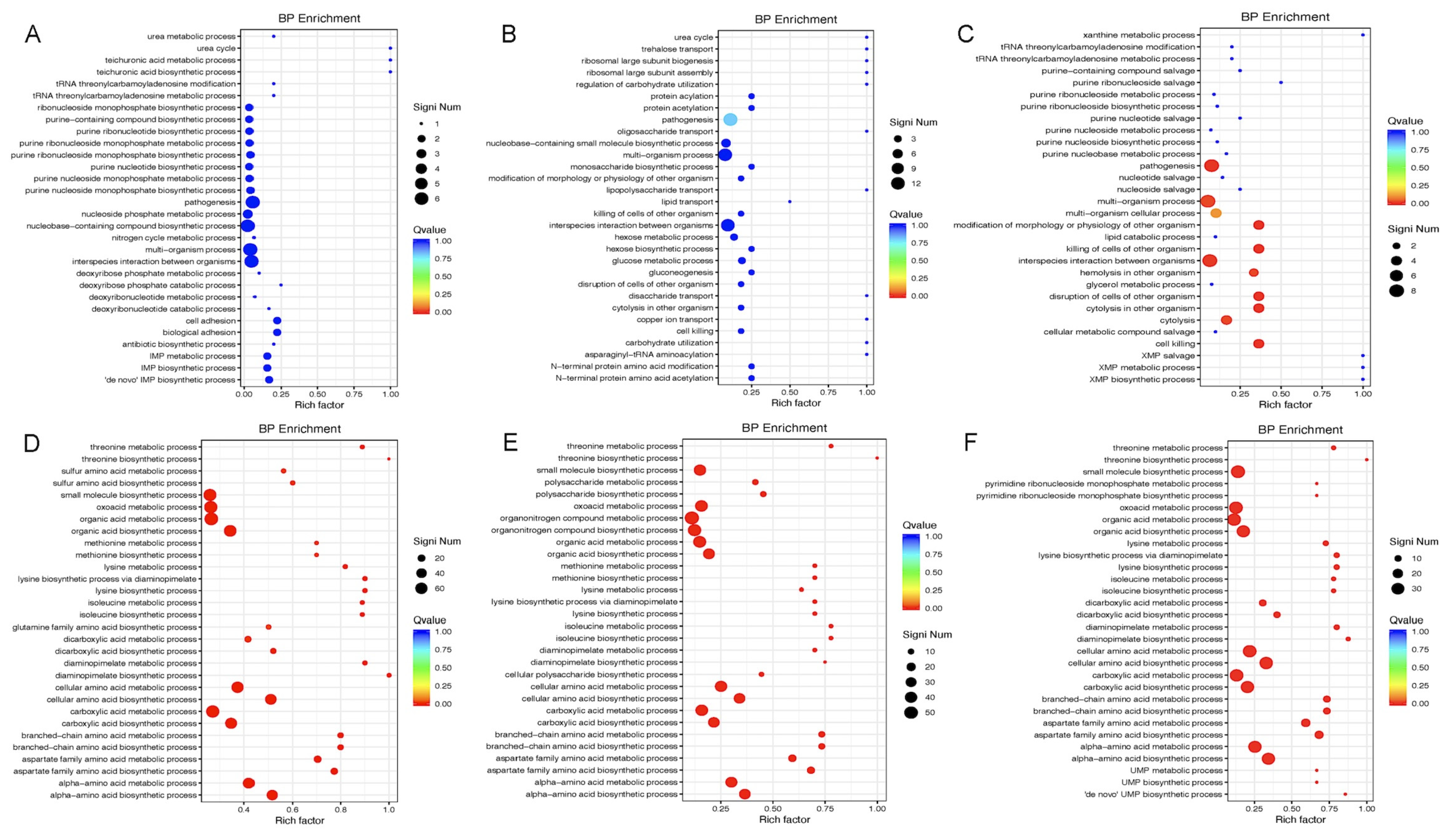 Microorganisms 13 02111 g004