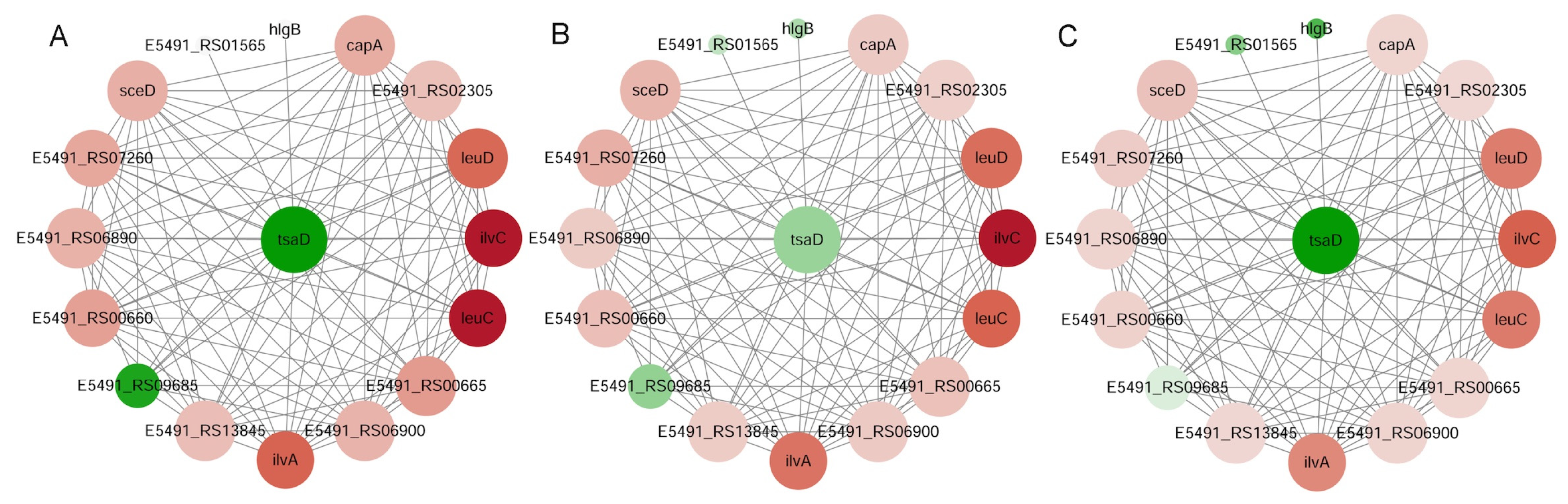 Microorganisms 13 02111 g007