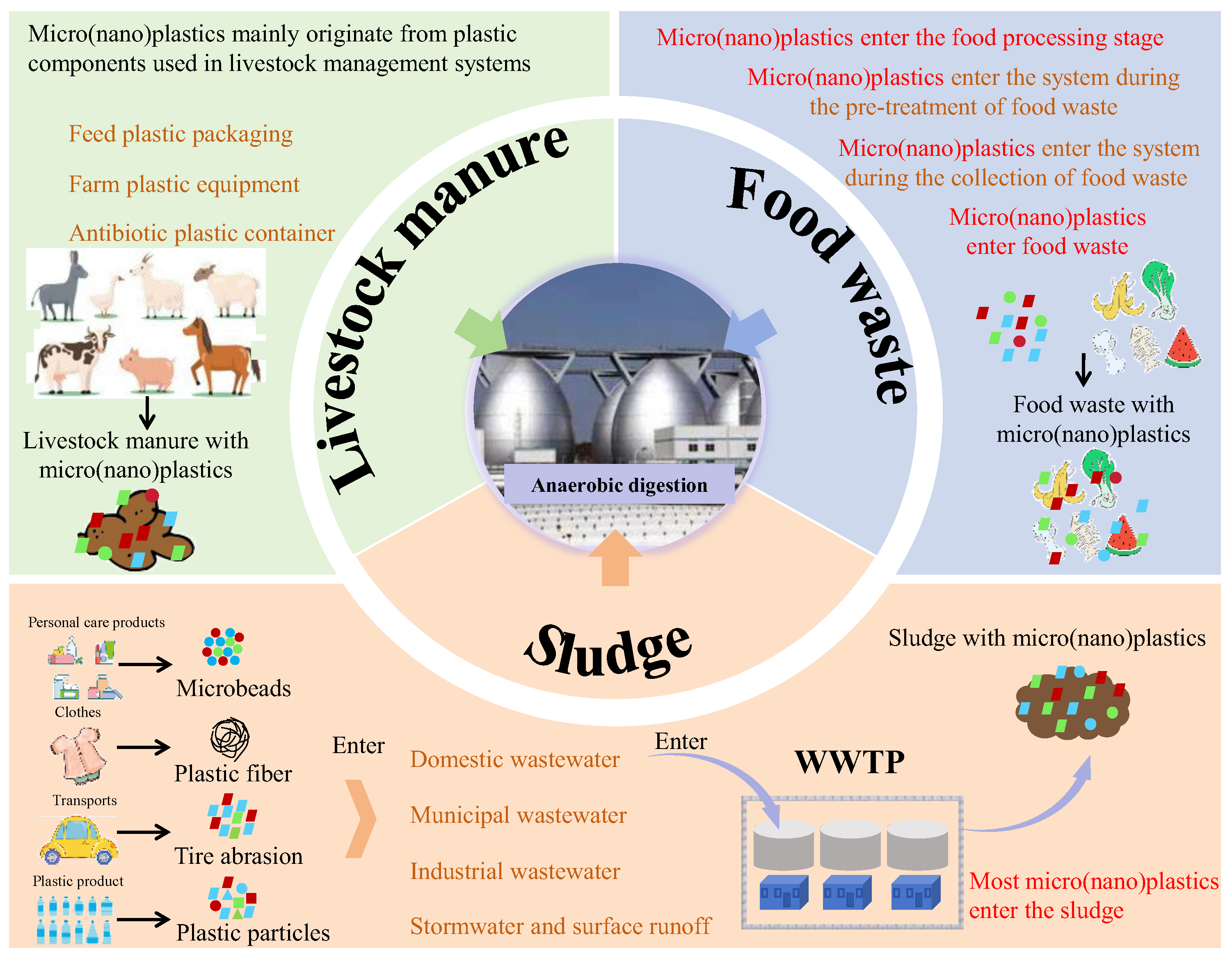 Microorganisms 13 02118 g001 Microorganisms 13 02118 g001