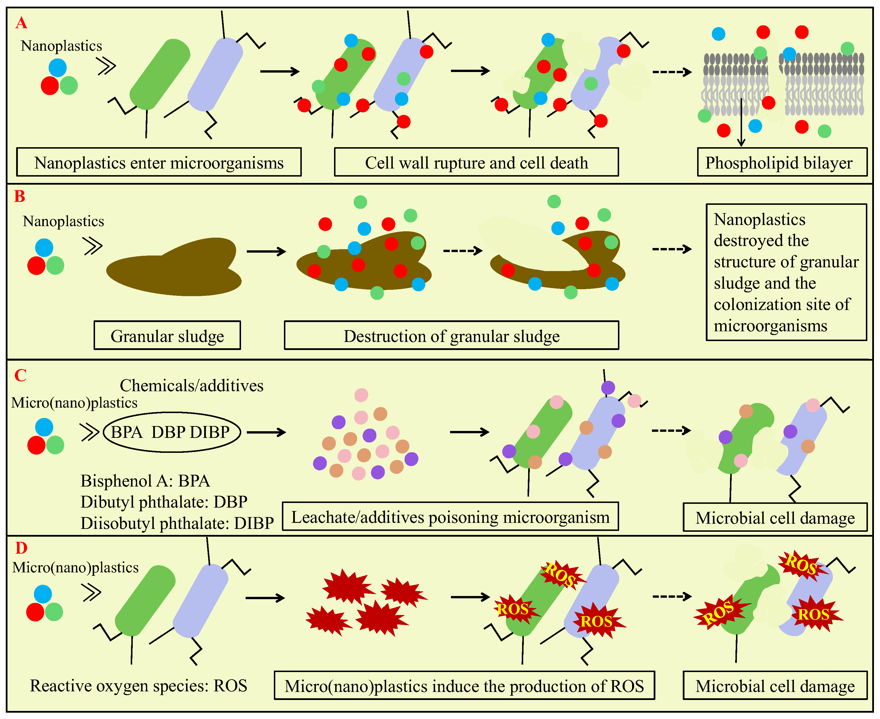 Microorganisms 13 02118 g005 Microorganisms 13 02118 g005