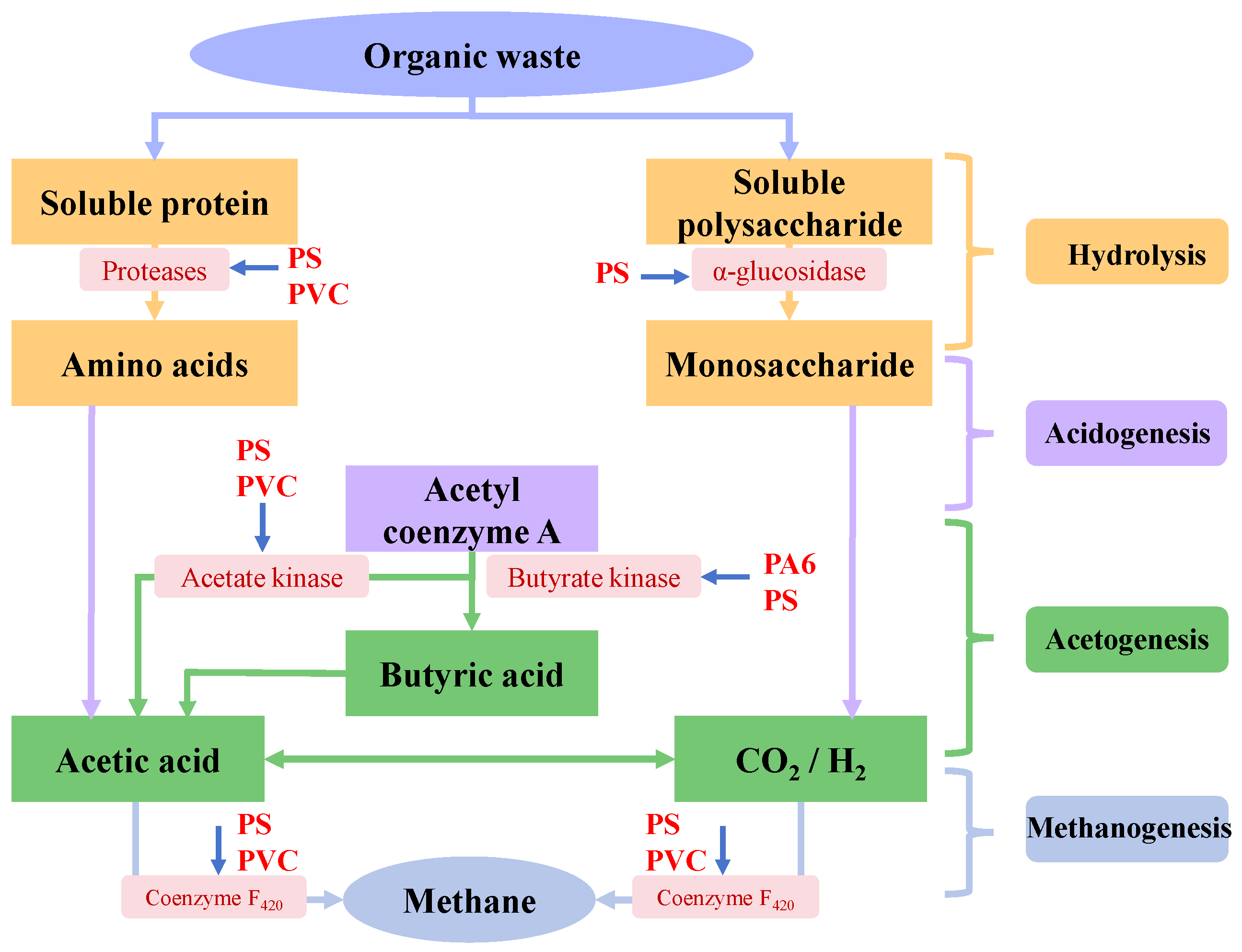 Microorganisms 13 02118 g006 Microorganisms 13 02118 g006