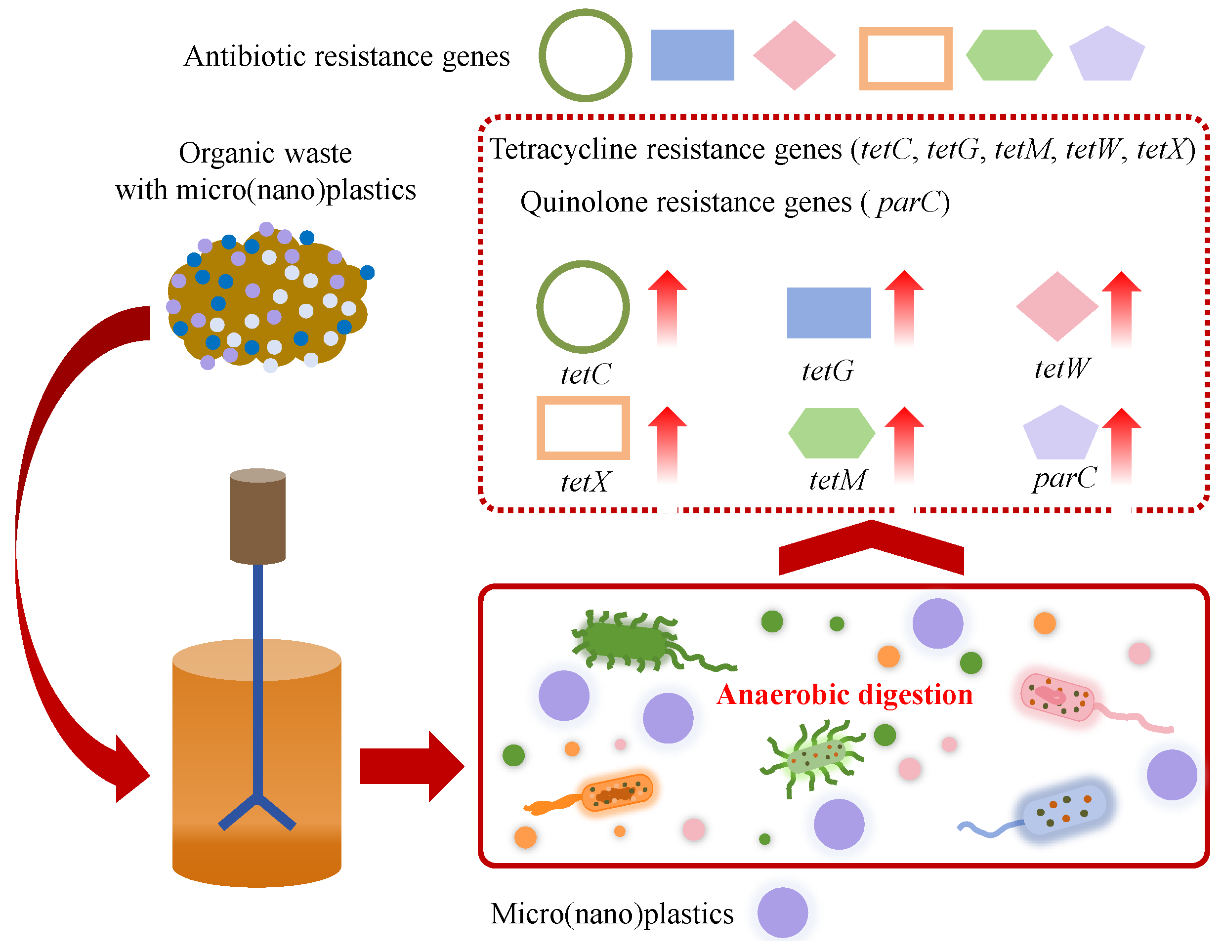 Microorganisms 13 02118 g007 Microorganisms 13 02118 g007