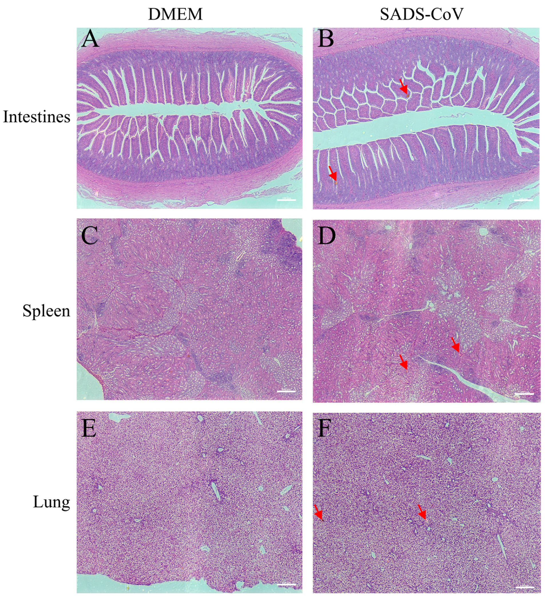 Microorganisms 13 02122 g002