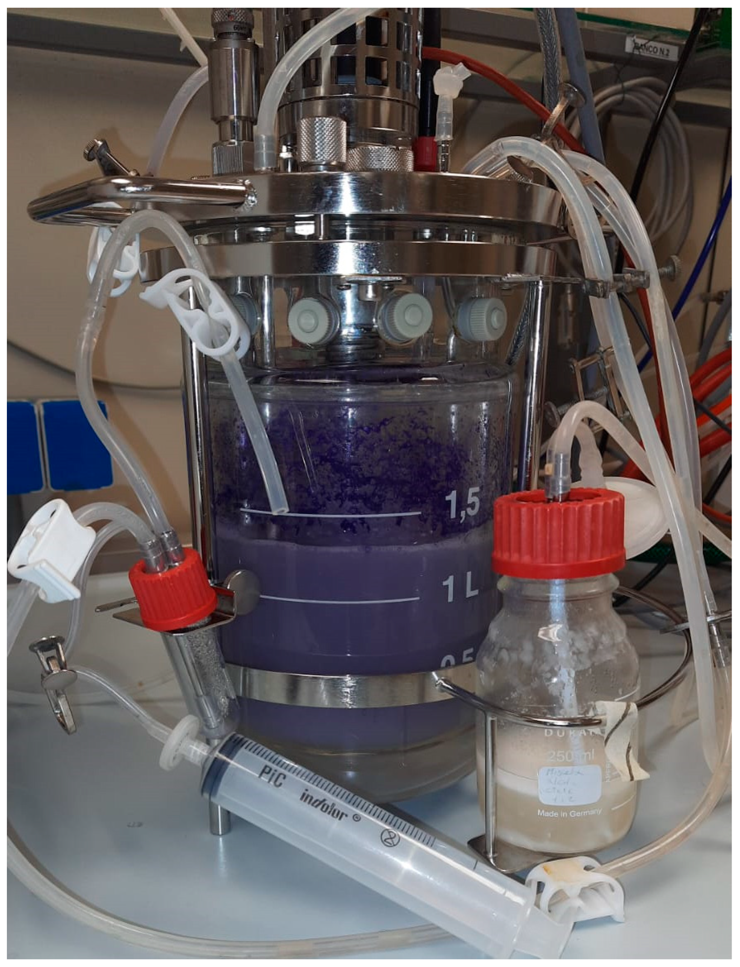 Microorganisms 13 02125 g006 Microorganisms 13 02125 g006