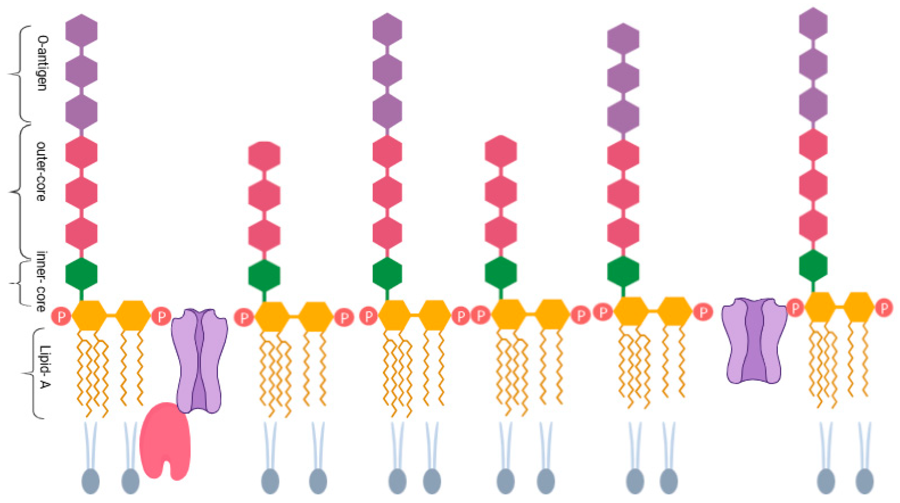 Microorganisms 13 02130 g001 Microorganisms 13 02130 g001