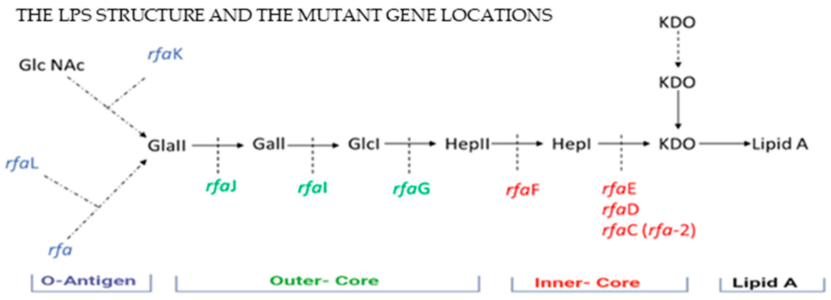 Microorganisms 13 02130 g002 Microorganisms 13 02130 g002