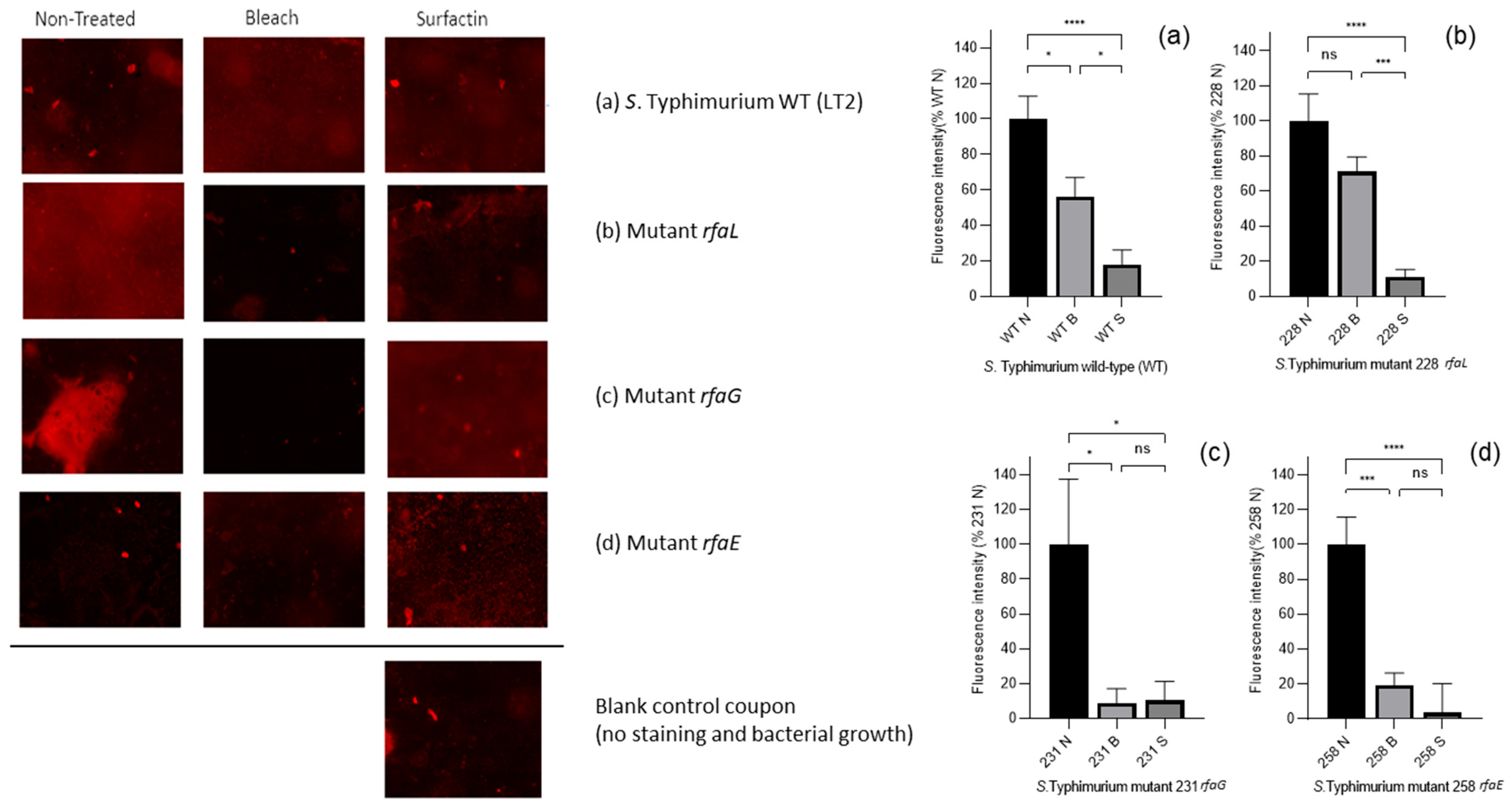 Microorganisms 13 02130 g006 Microorganisms 13 02130 g006