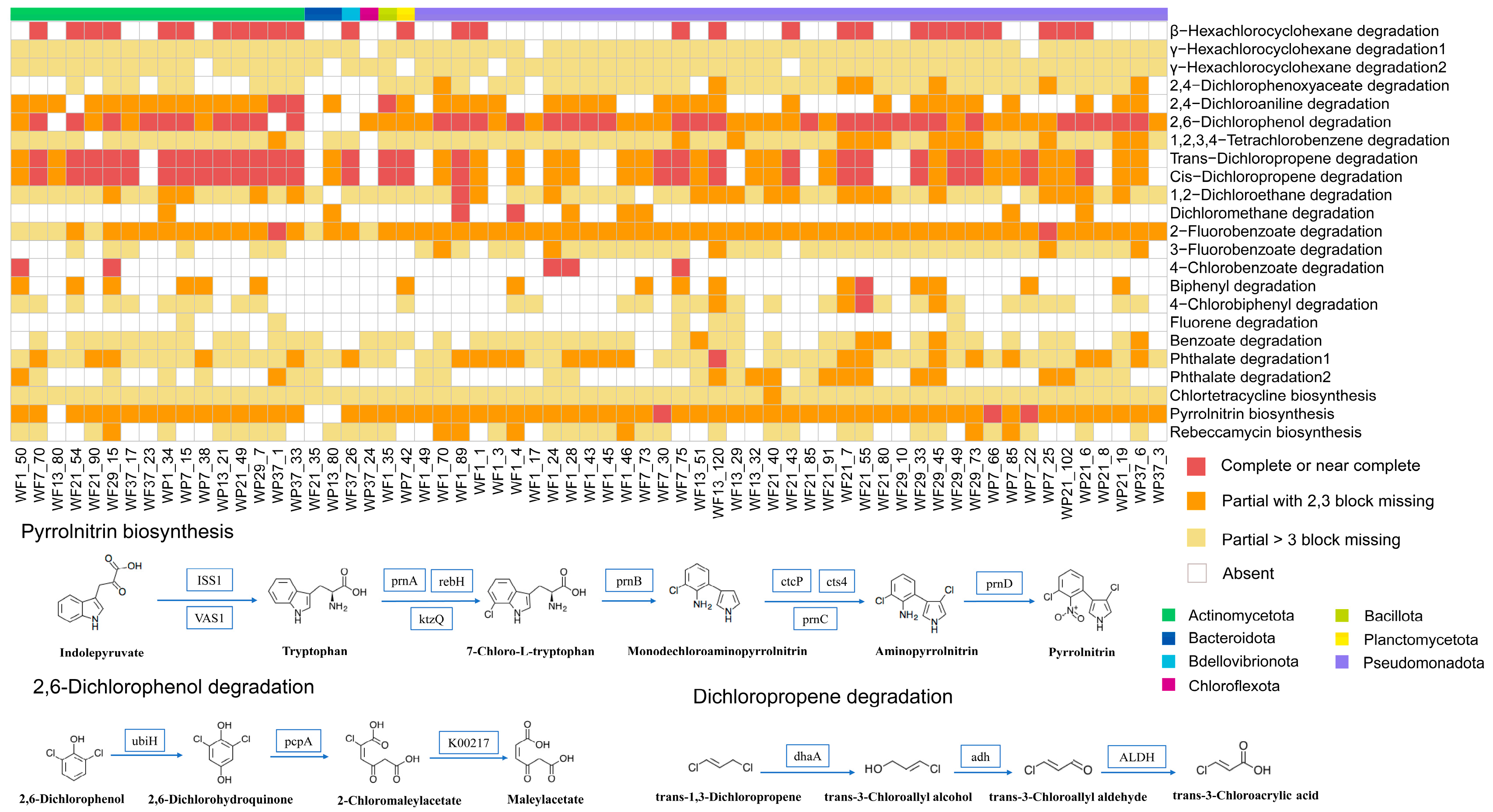 Microorganisms 13 02133 g007