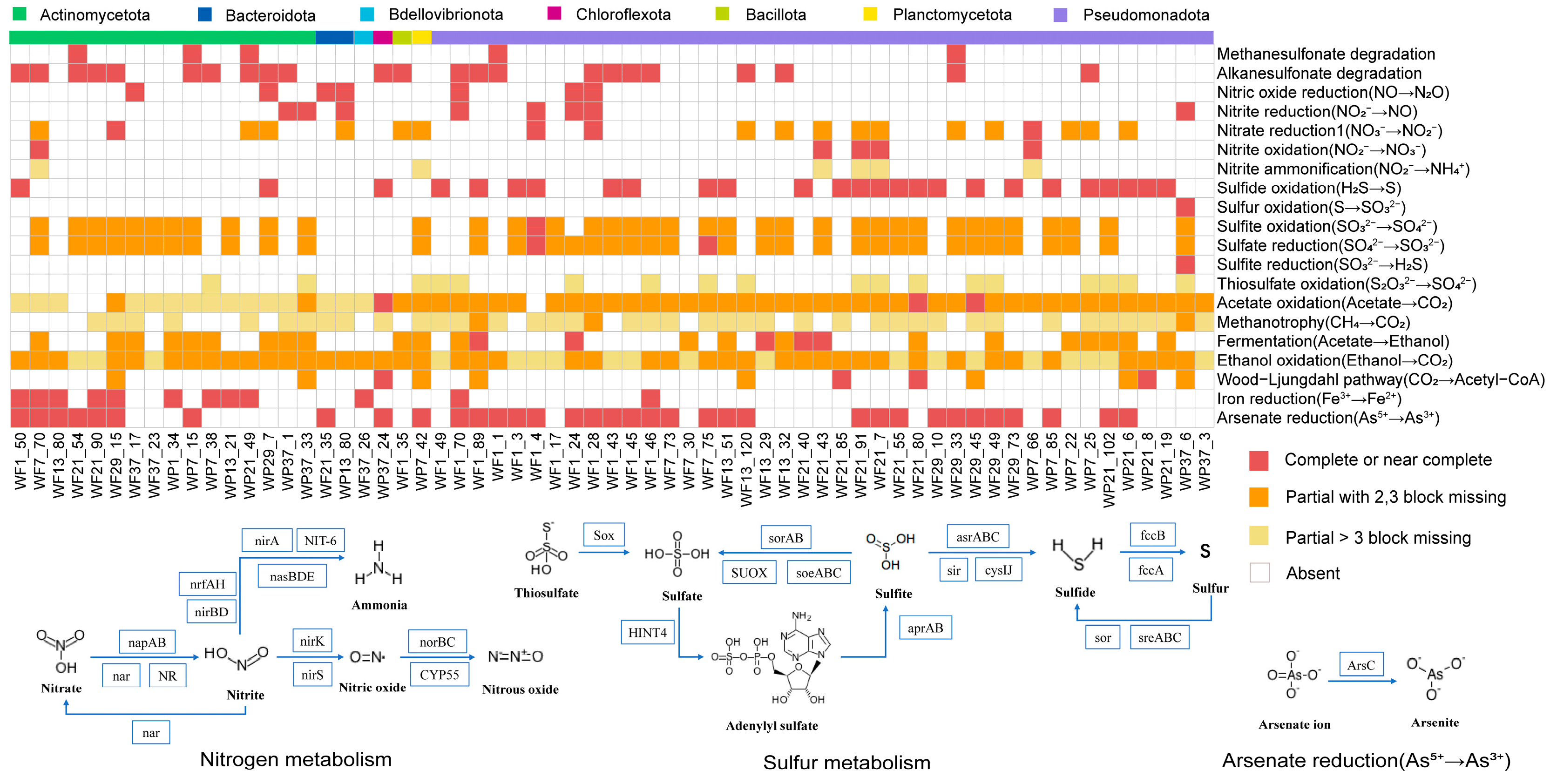 Microorganisms 13 02133 g008