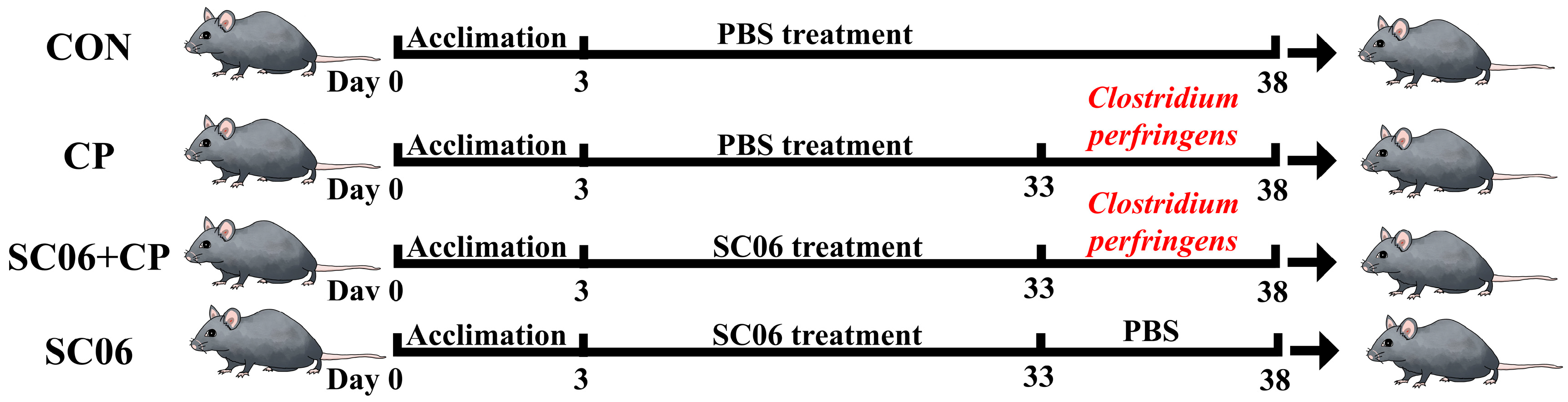 Microorganisms 13 02136 g001