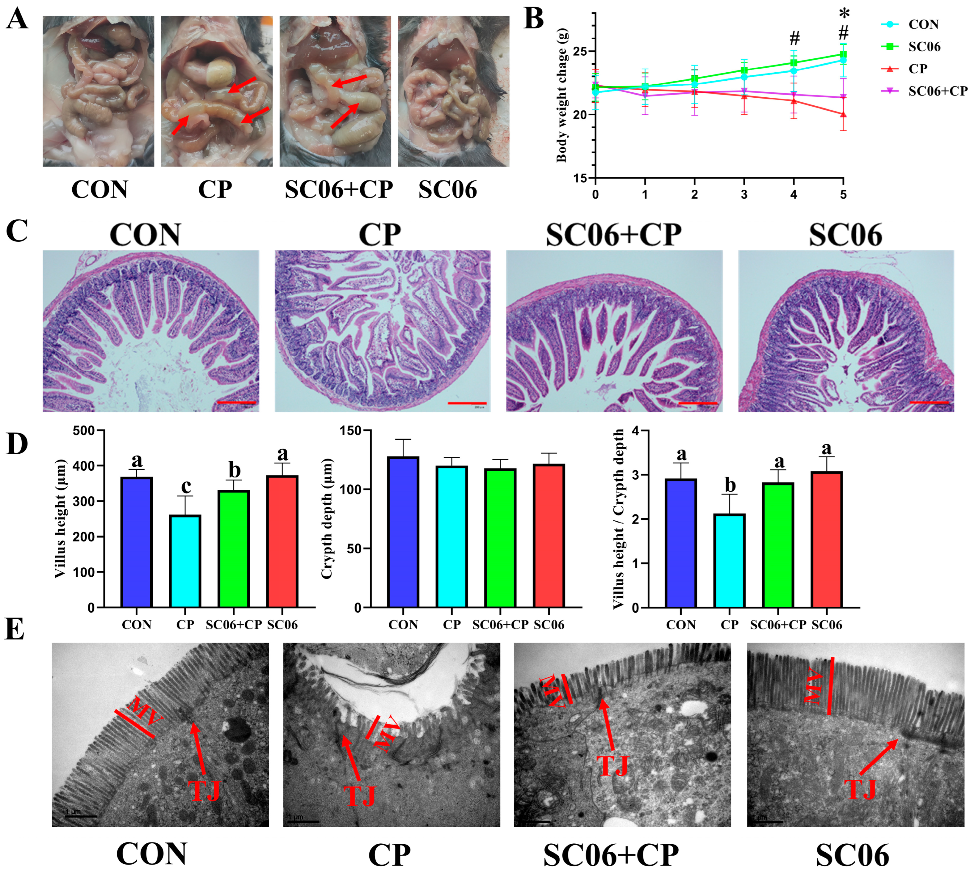 Microorganisms 13 02136 g002
