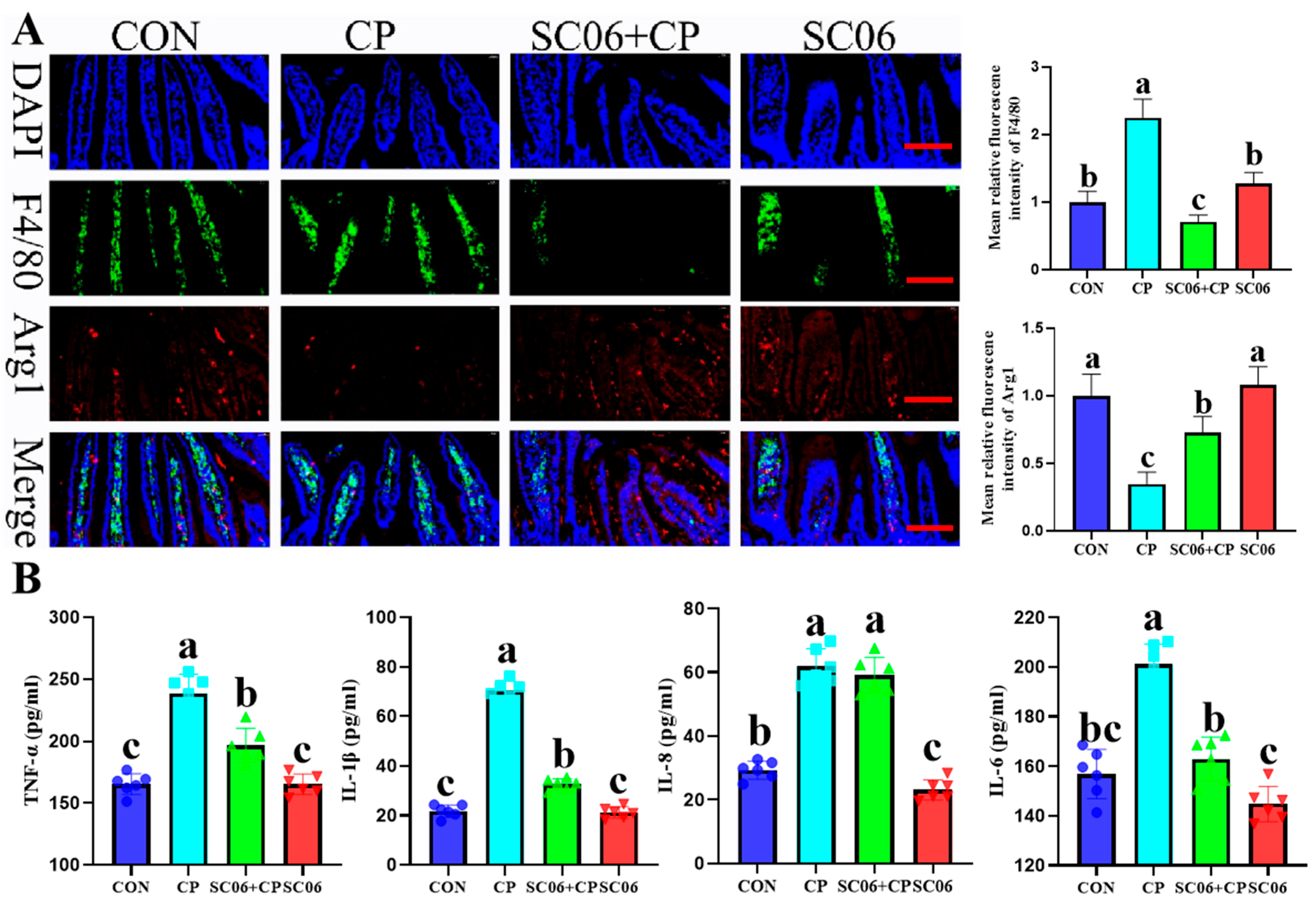 Microorganisms 13 02136 g004