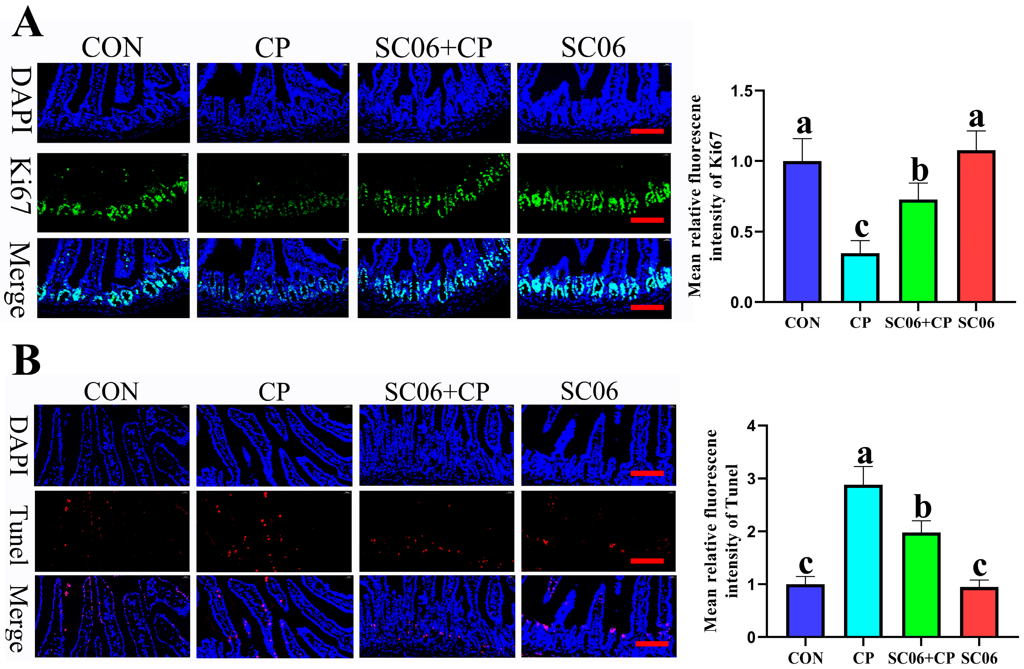 Microorganisms 13 02136 g006