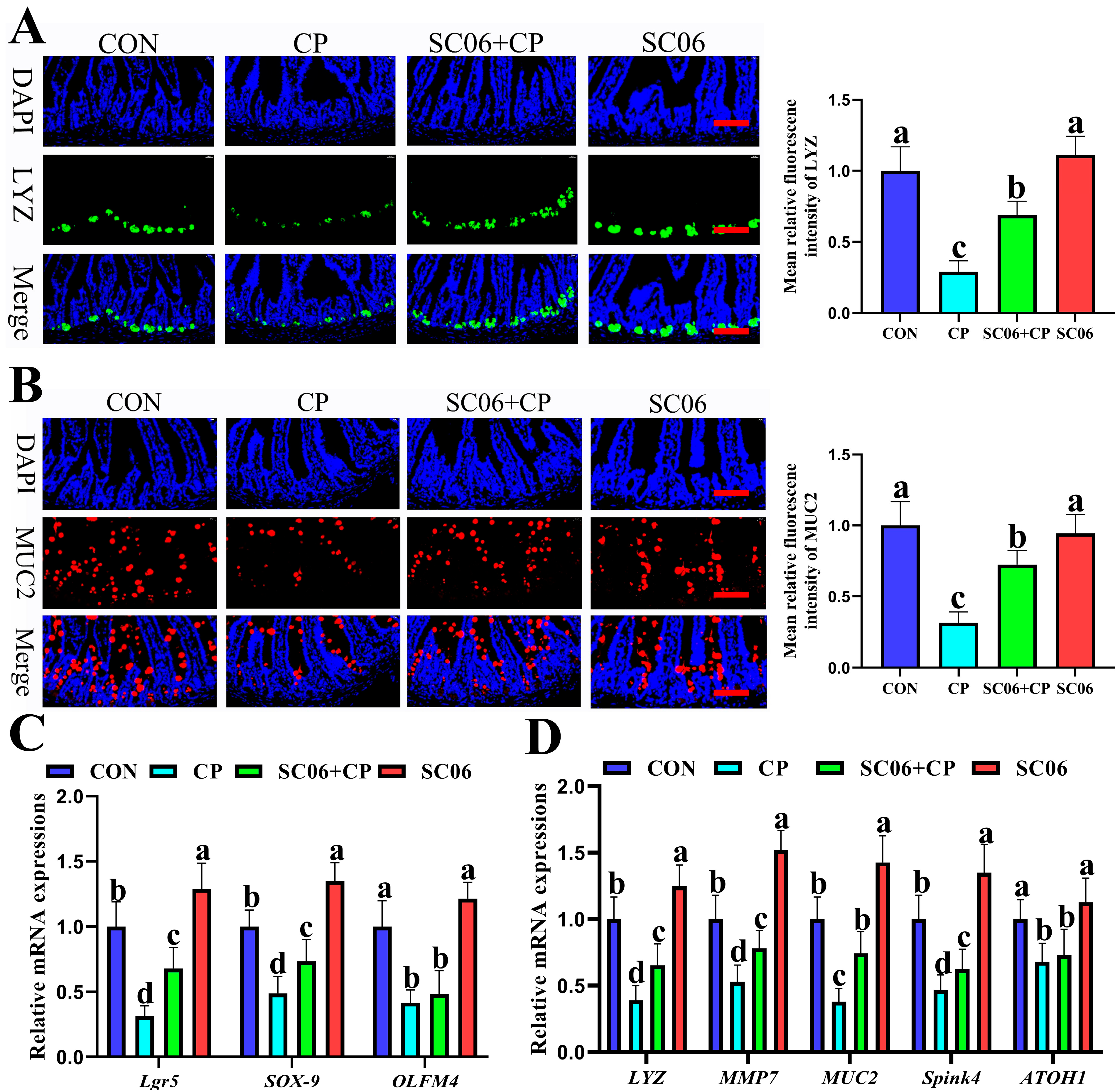 Microorganisms 13 02136 g007