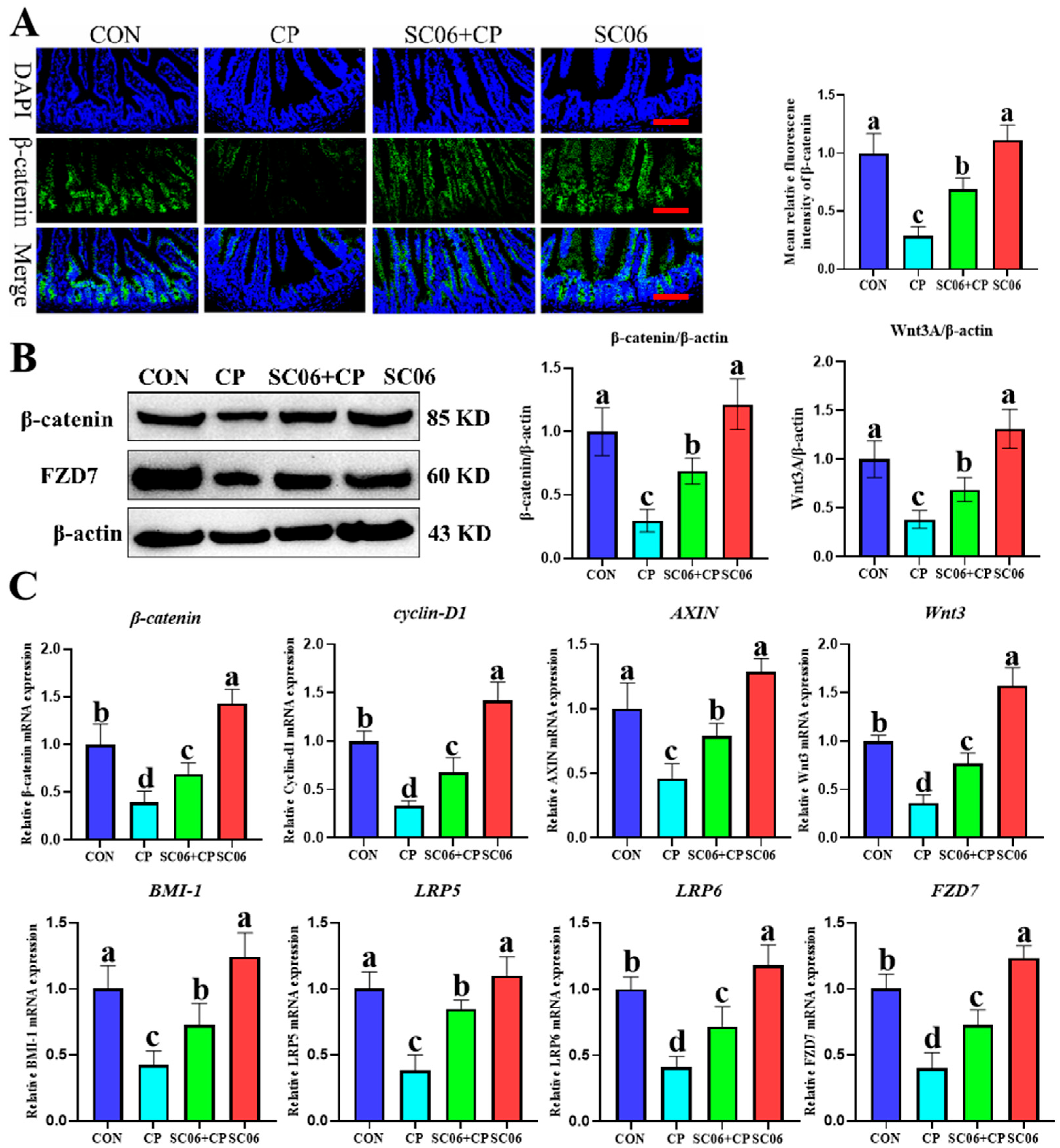 Microorganisms 13 02136 g008
