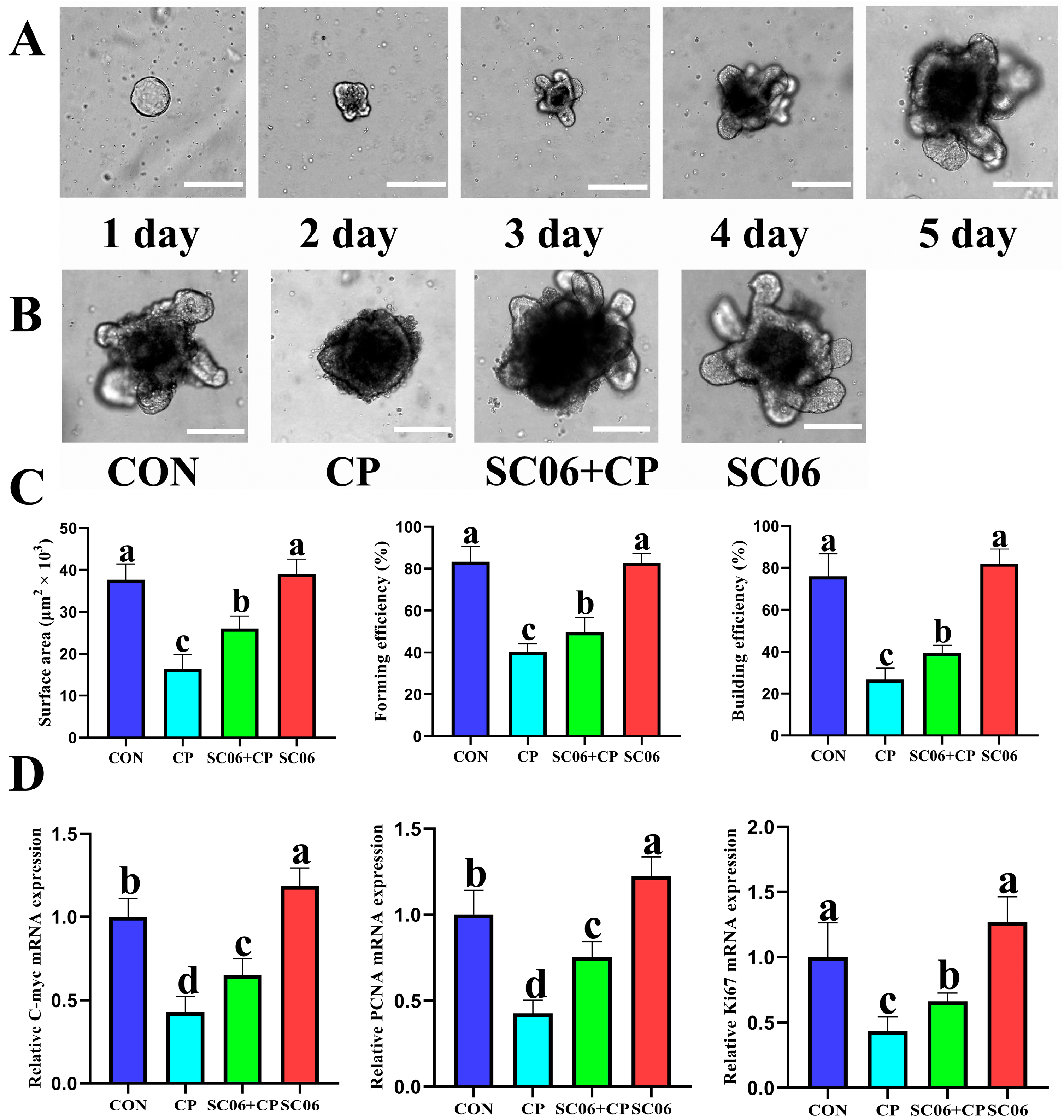 Microorganisms 13 02136 g009