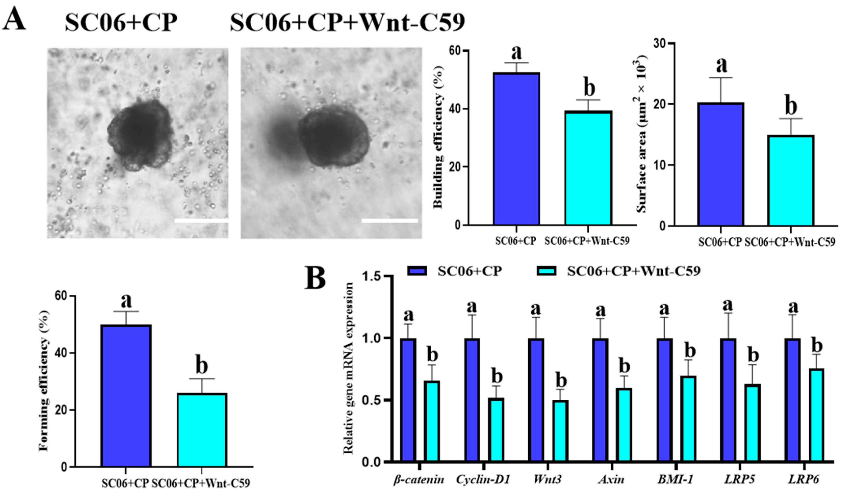 Microorganisms 13 02136 g011