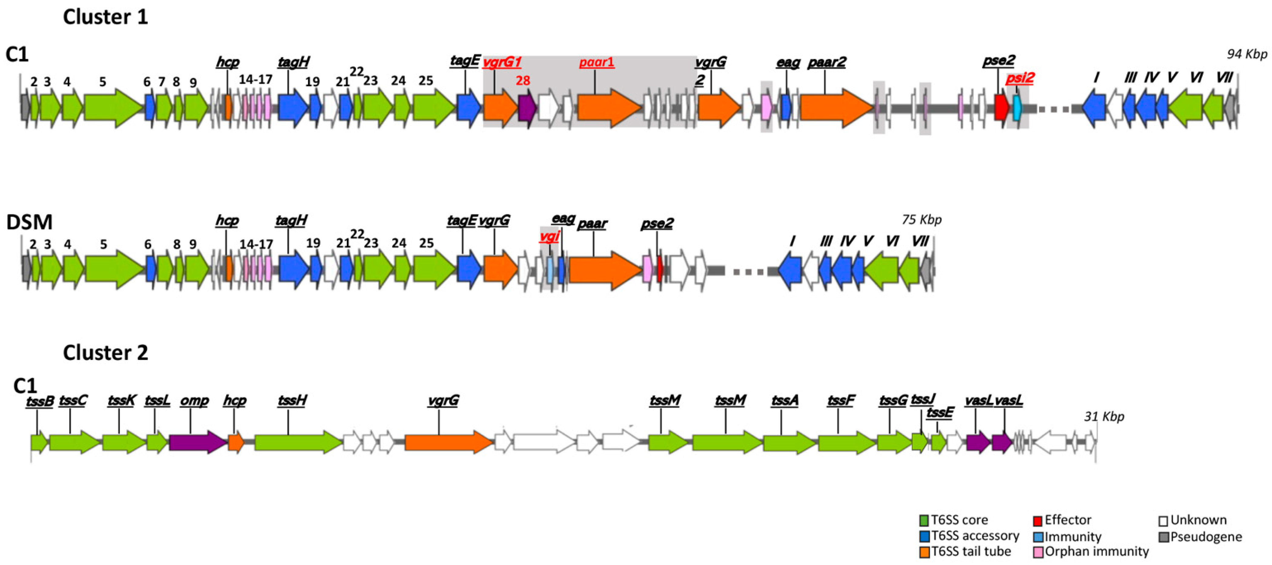Microorganisms 13 02138 g007