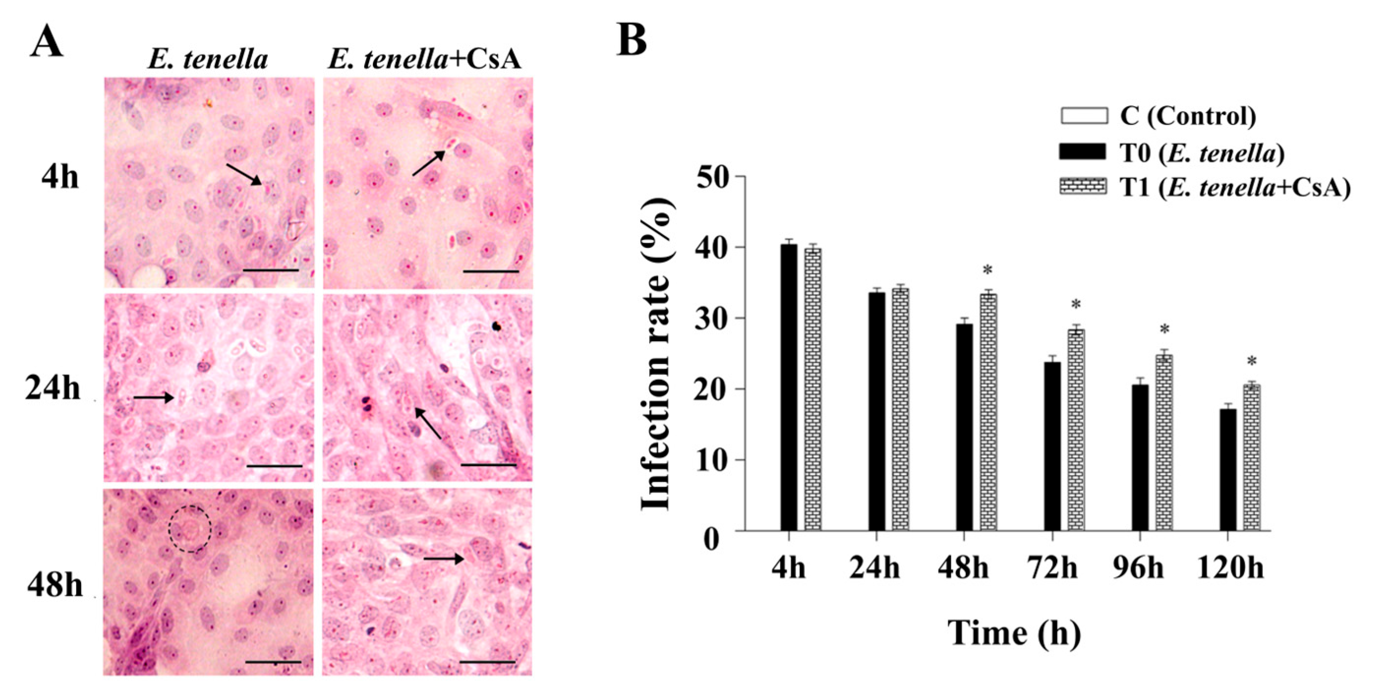 Microorganisms 13 02139 g001 Microorganisms 13 02139 g001