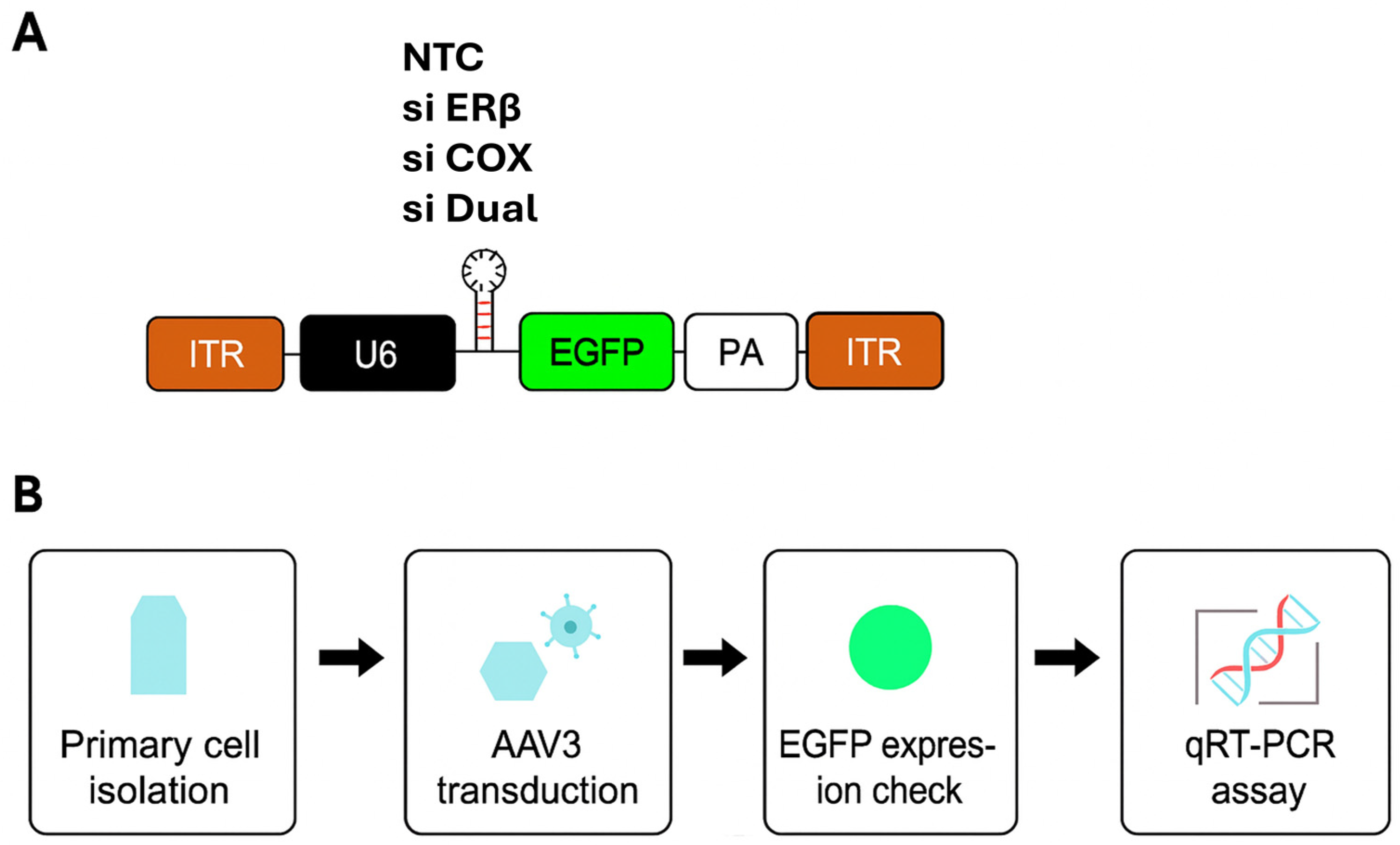 Microorganisms 13 02144 g001