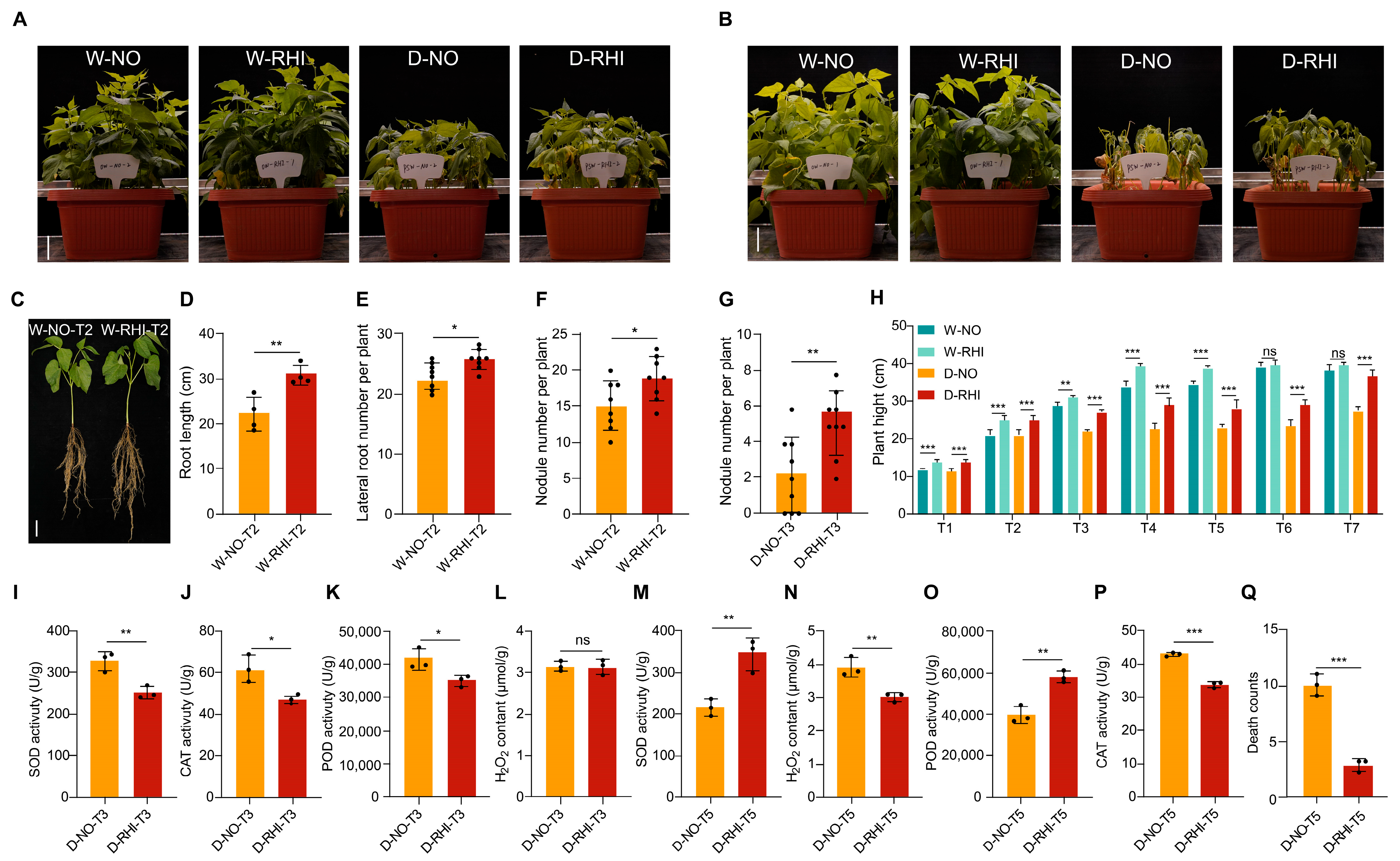 Microorganisms 13 02153 g001