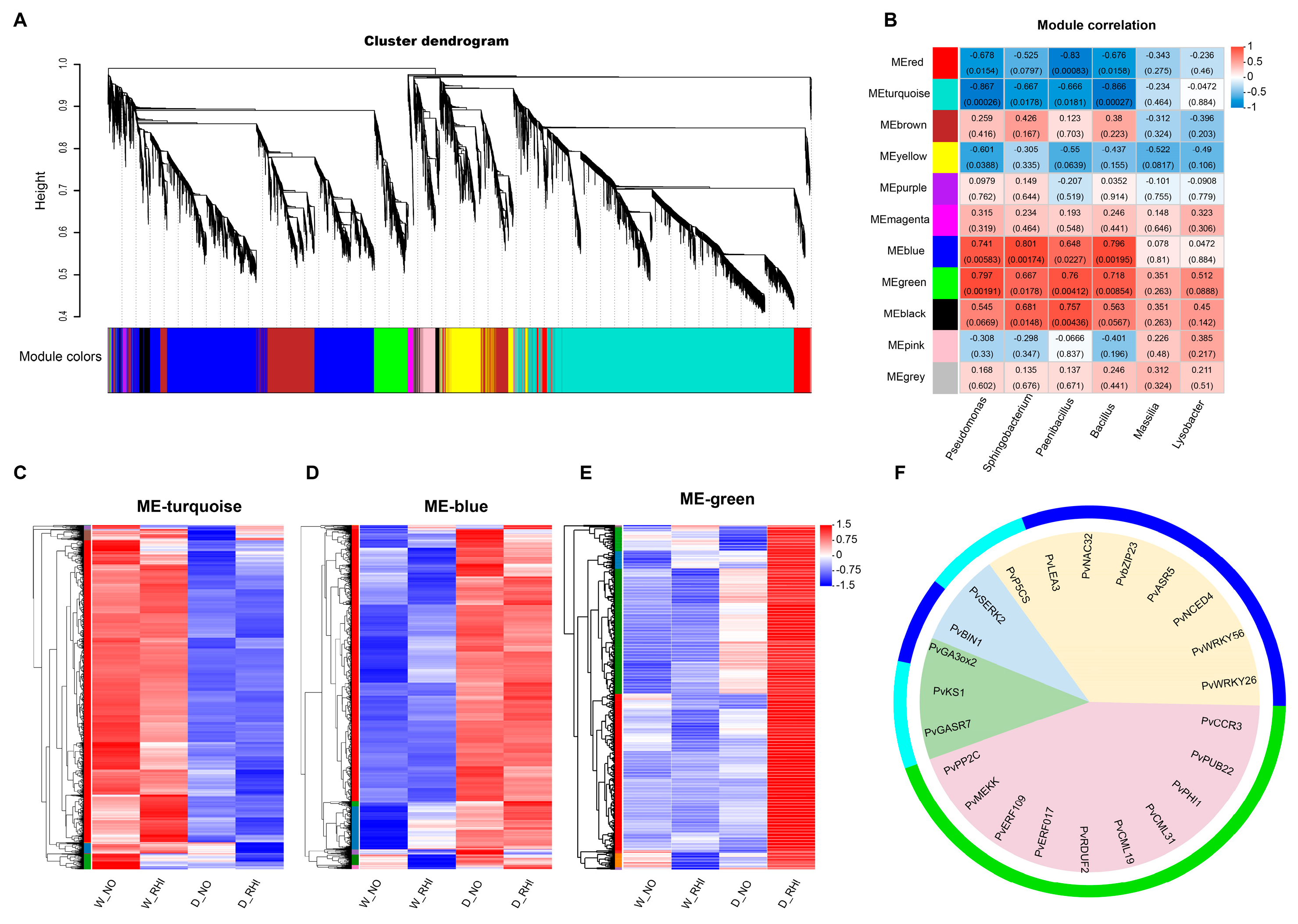 Microorganisms 13 02153 g006