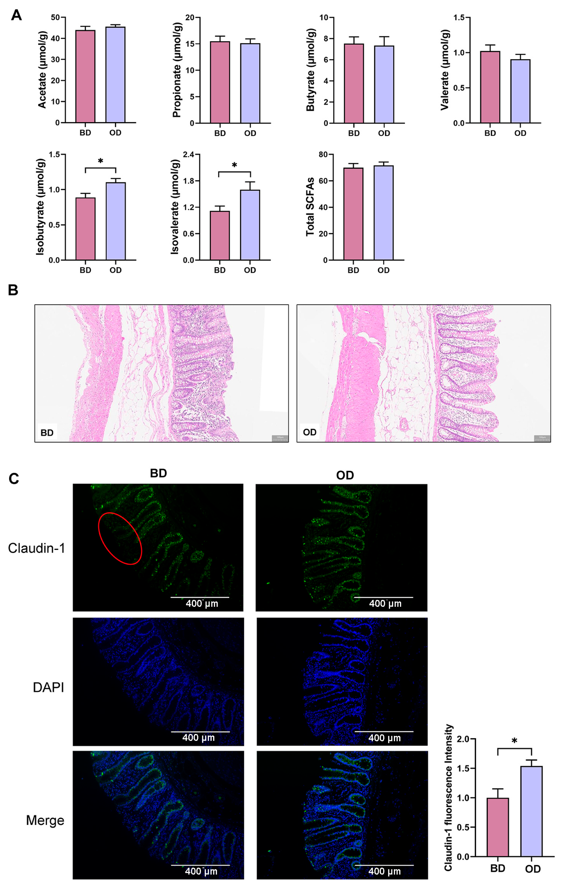 Microorganisms 13 02160 g002