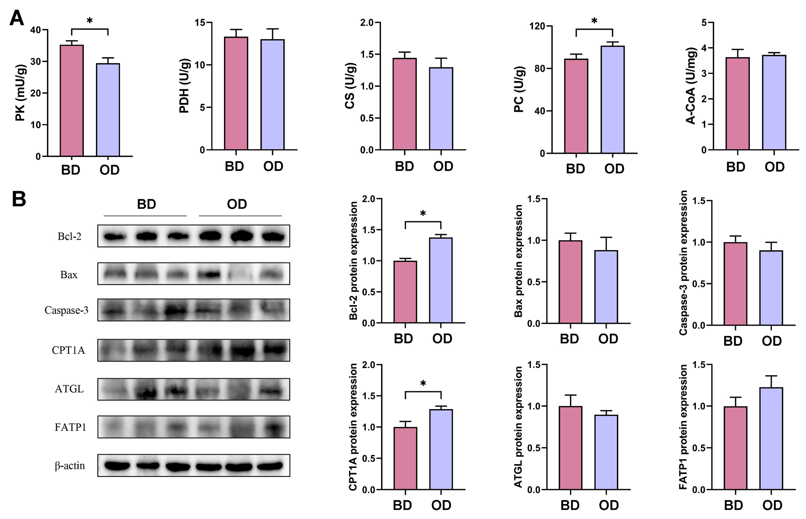 Microorganisms 13 02160 g005