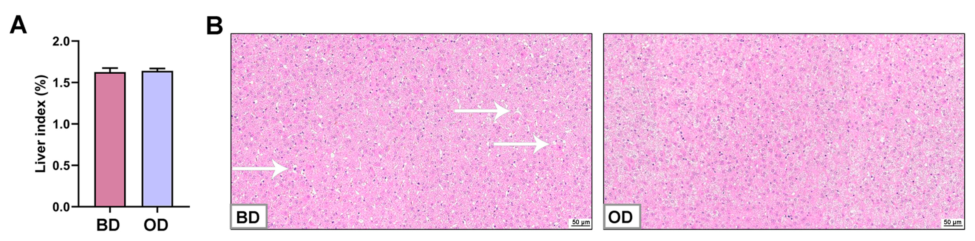 Microorganisms 13 02160 g006