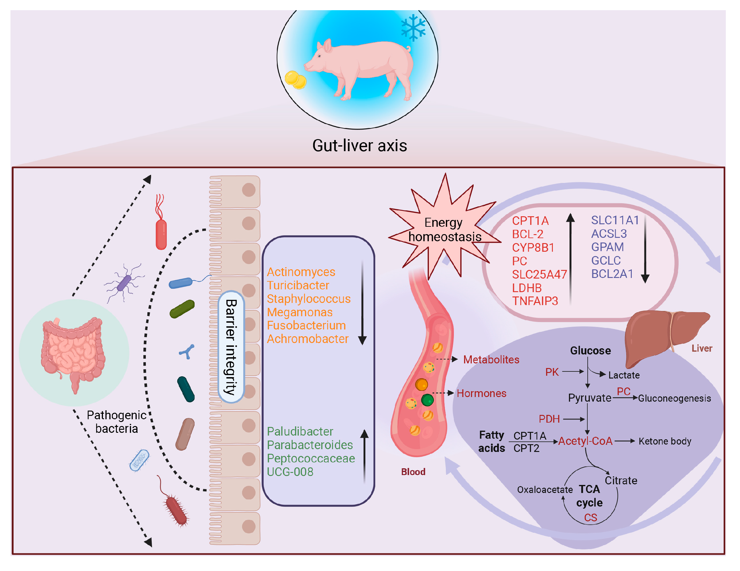 Microorganisms 13 02160 g007