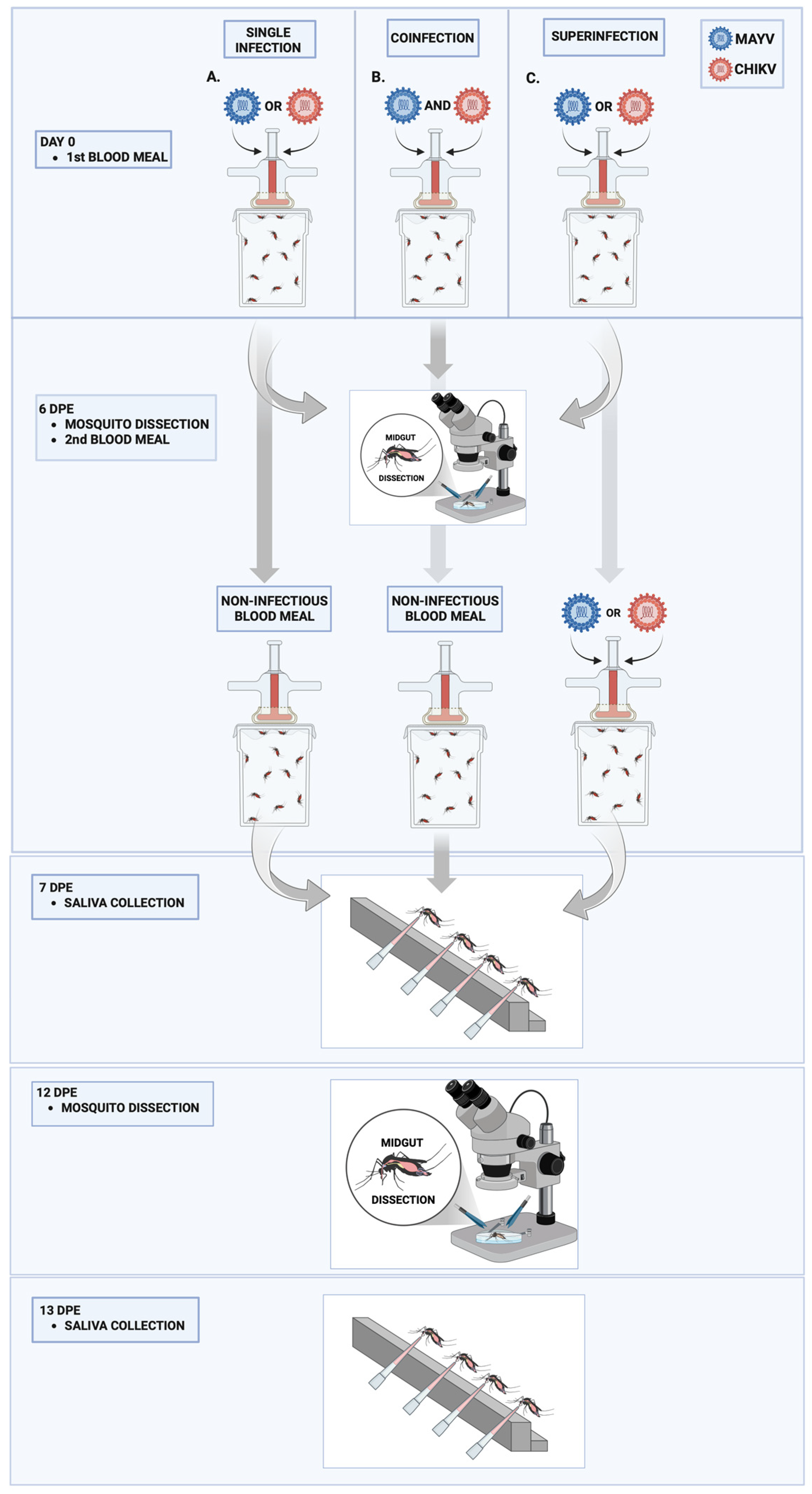 Microorganisms 13 02165 g001 Microorganisms 13 02165 g001