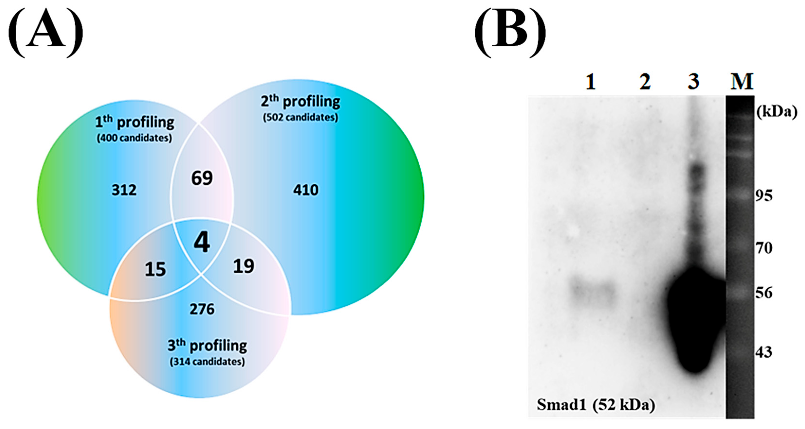 Microorganisms 13 02175 g002 Microorganisms 13 02175 g002