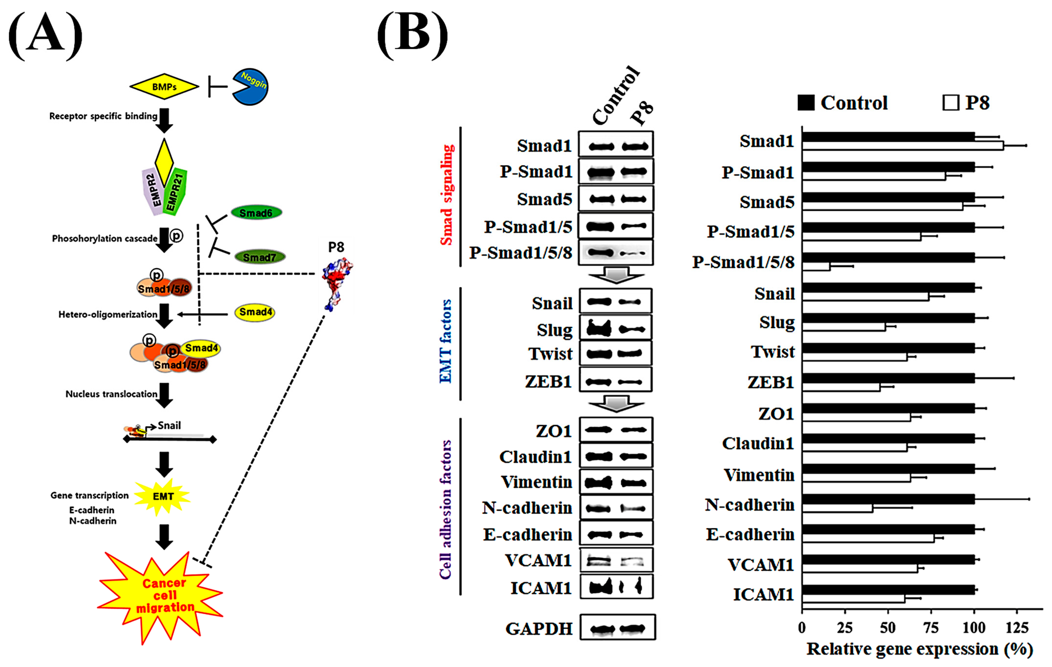 Microorganisms 13 02175 g003 Microorganisms 13 02175 g003