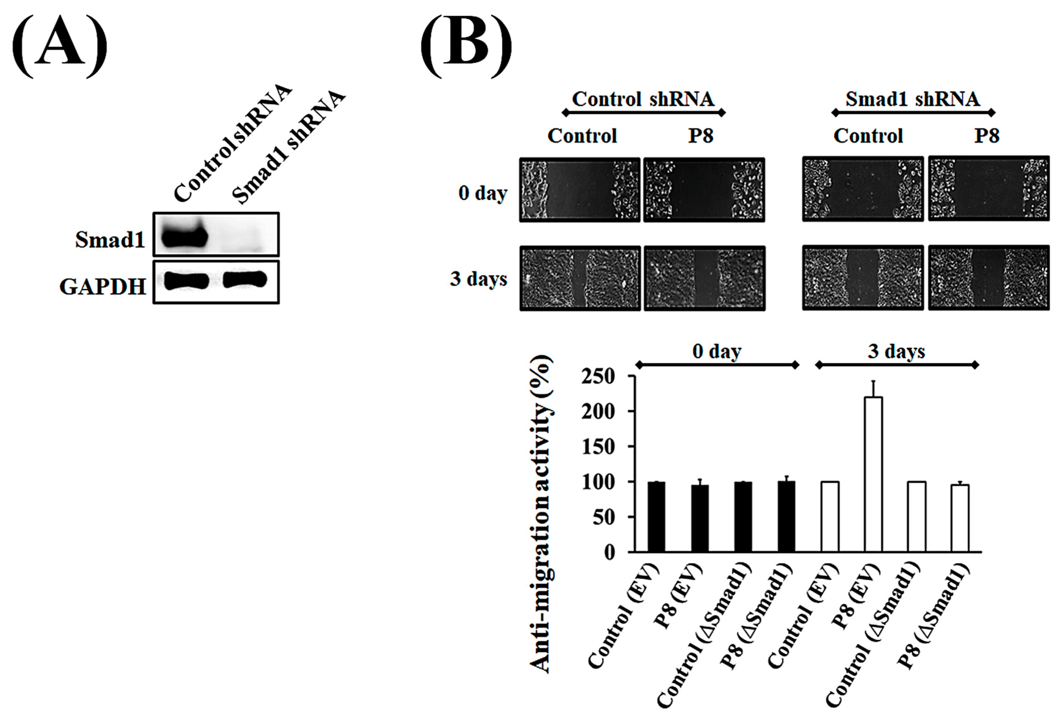 Microorganisms 13 02175 g005 Microorganisms 13 02175 g005