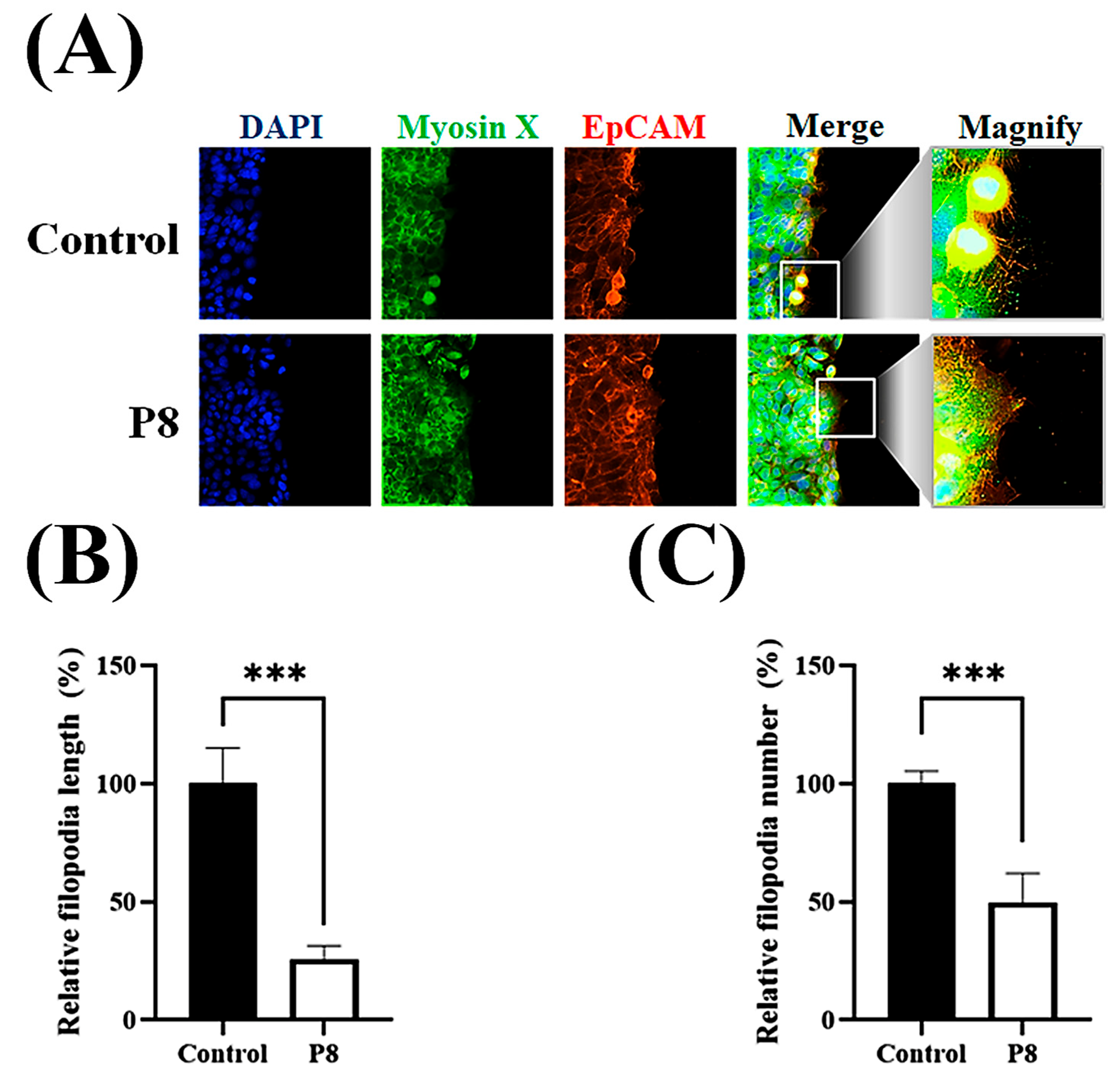 Microorganisms 13 02175 g006 Microorganisms 13 02175 g006