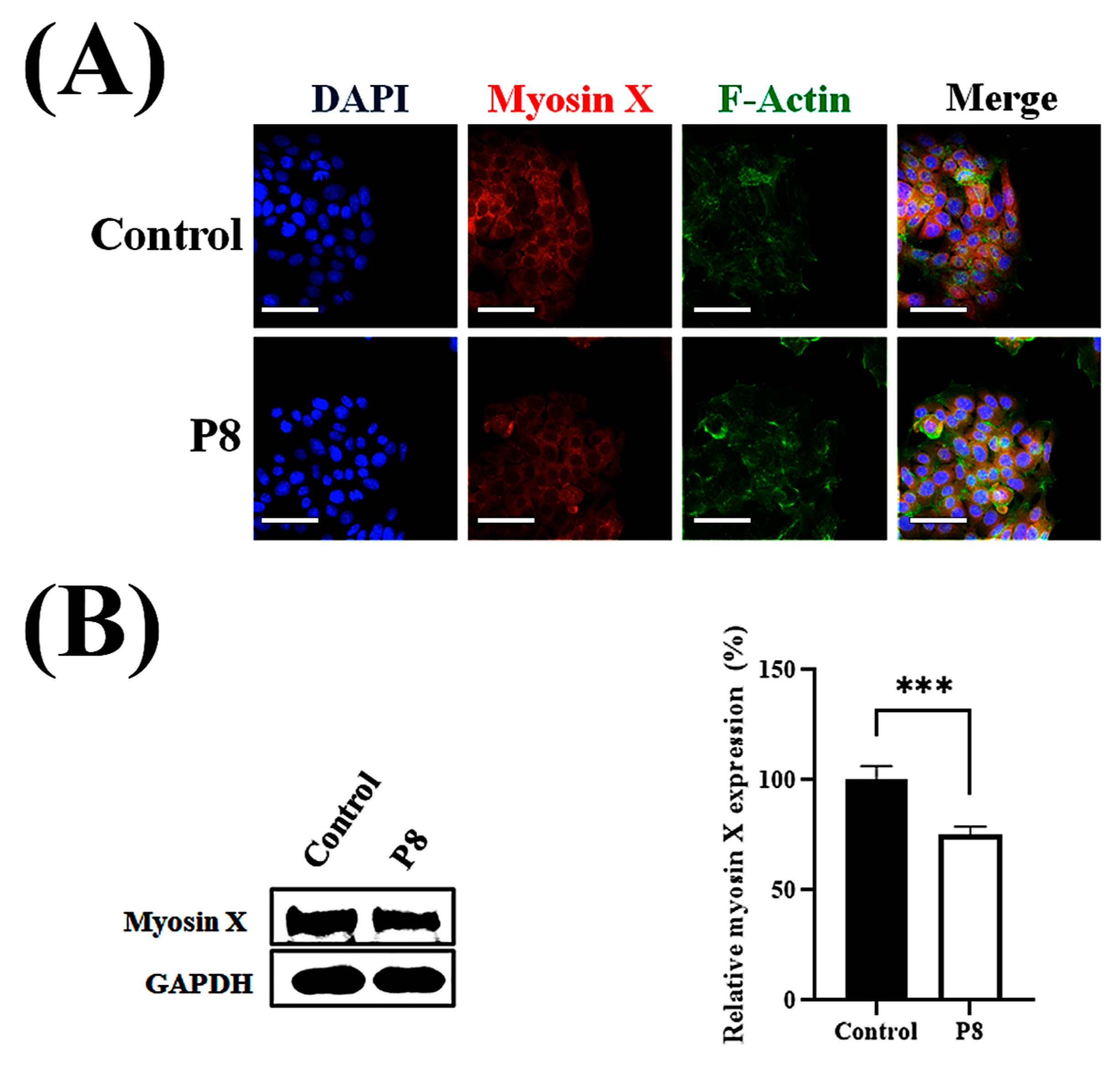 Microorganisms 13 02175 g007 Microorganisms 13 02175 g007