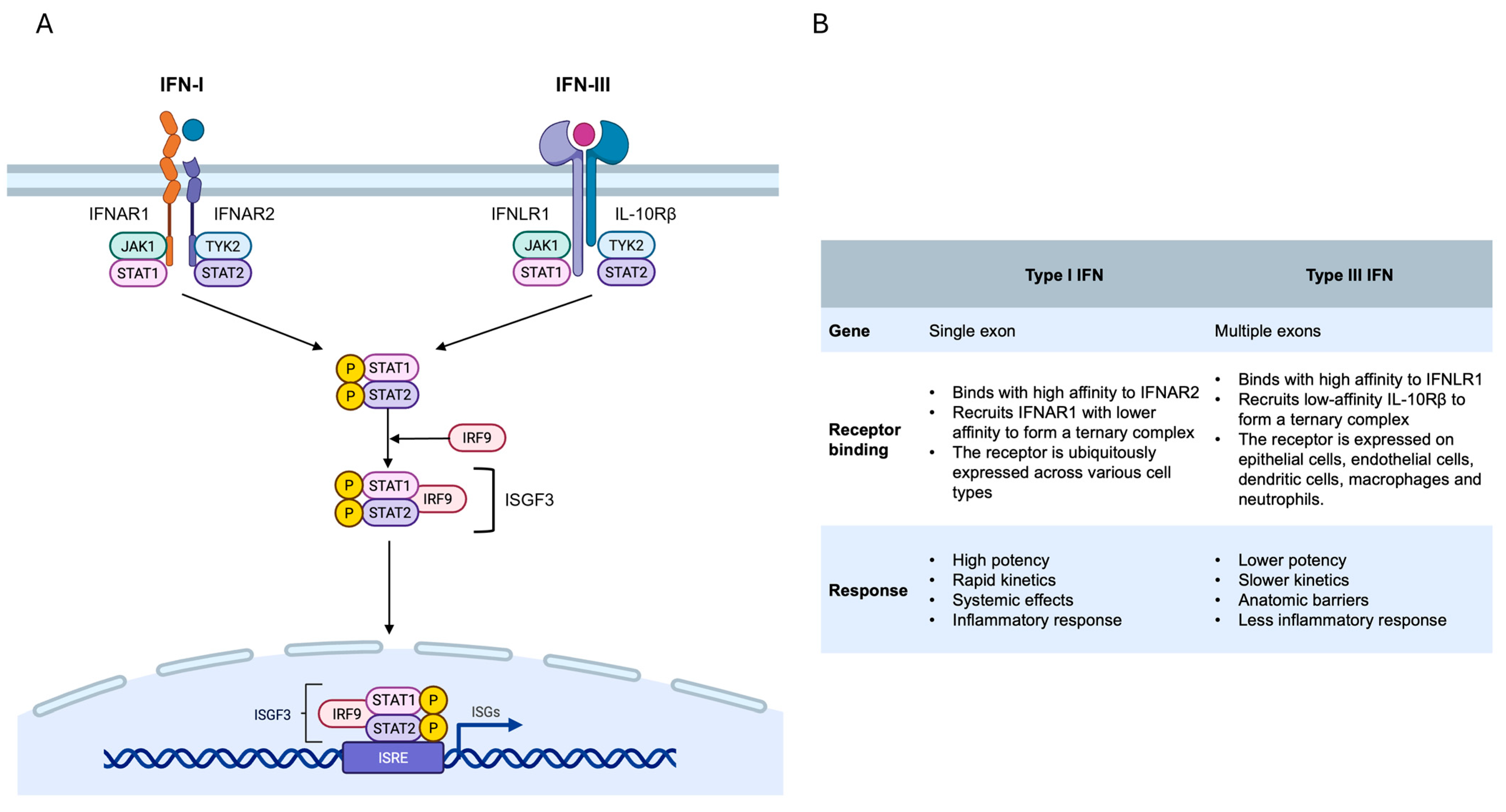 Microorganisms 13 02176 g002 Microorganisms 13 02176 g002