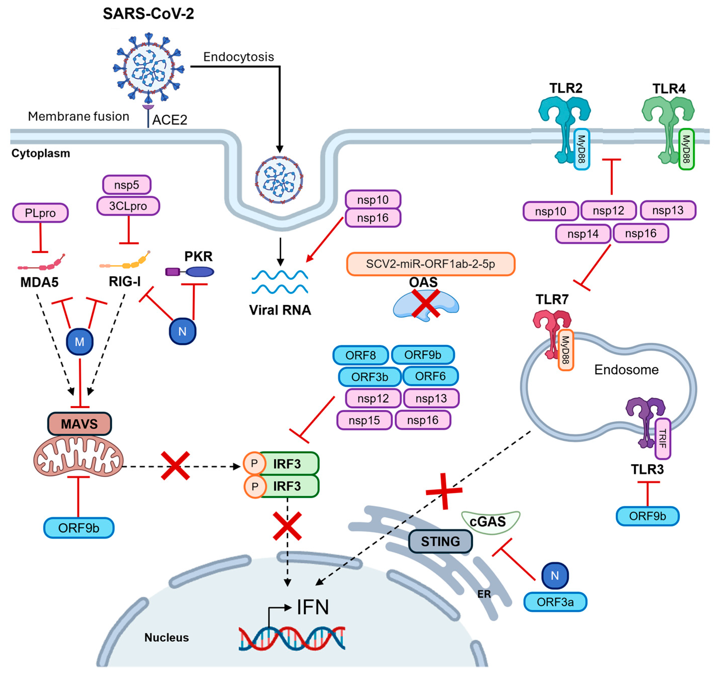 Microorganisms 13 02176 g003 Microorganisms 13 02176 g003