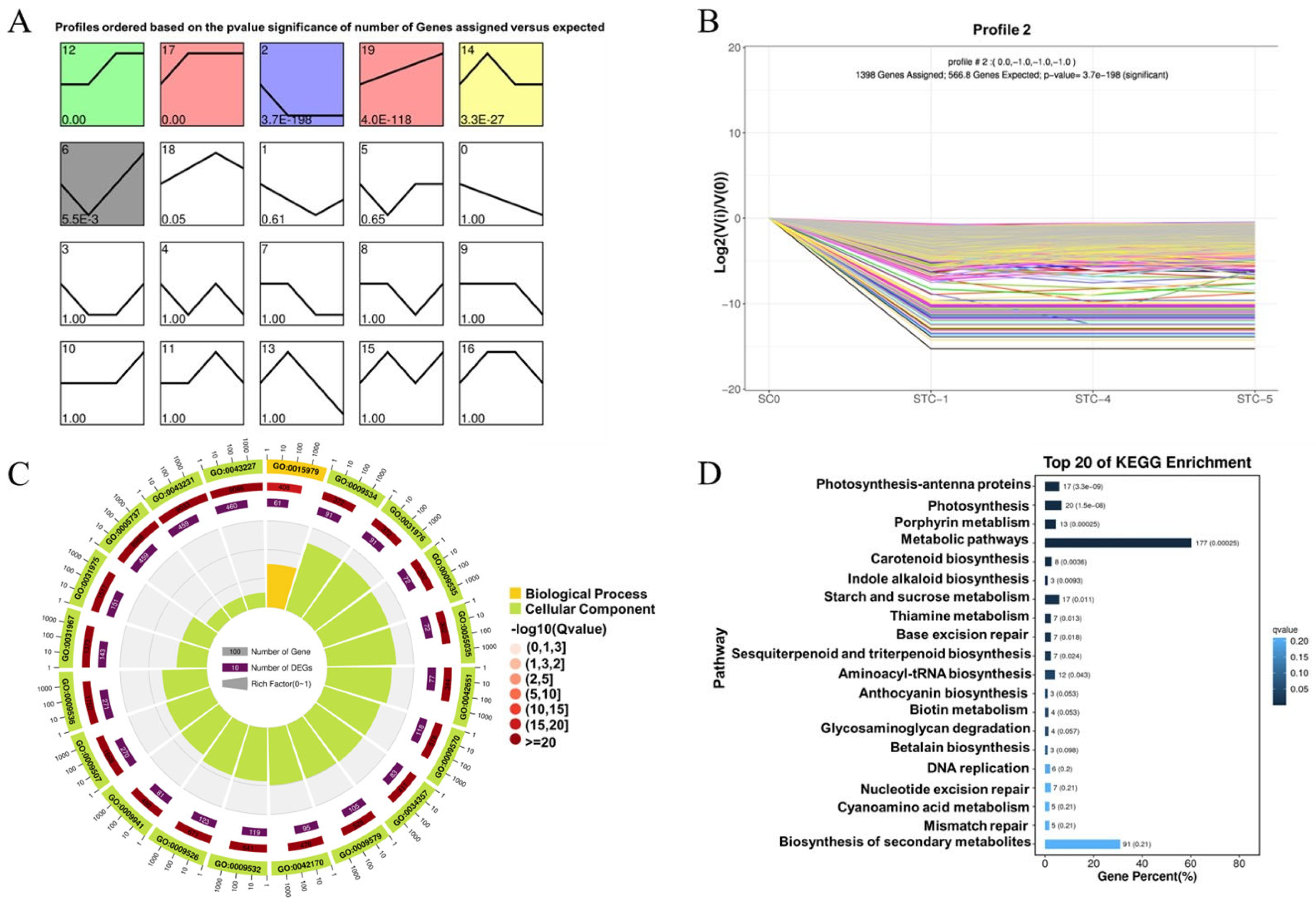 Microorganisms 13 02177 g005 Microorganisms 13 02177 g005