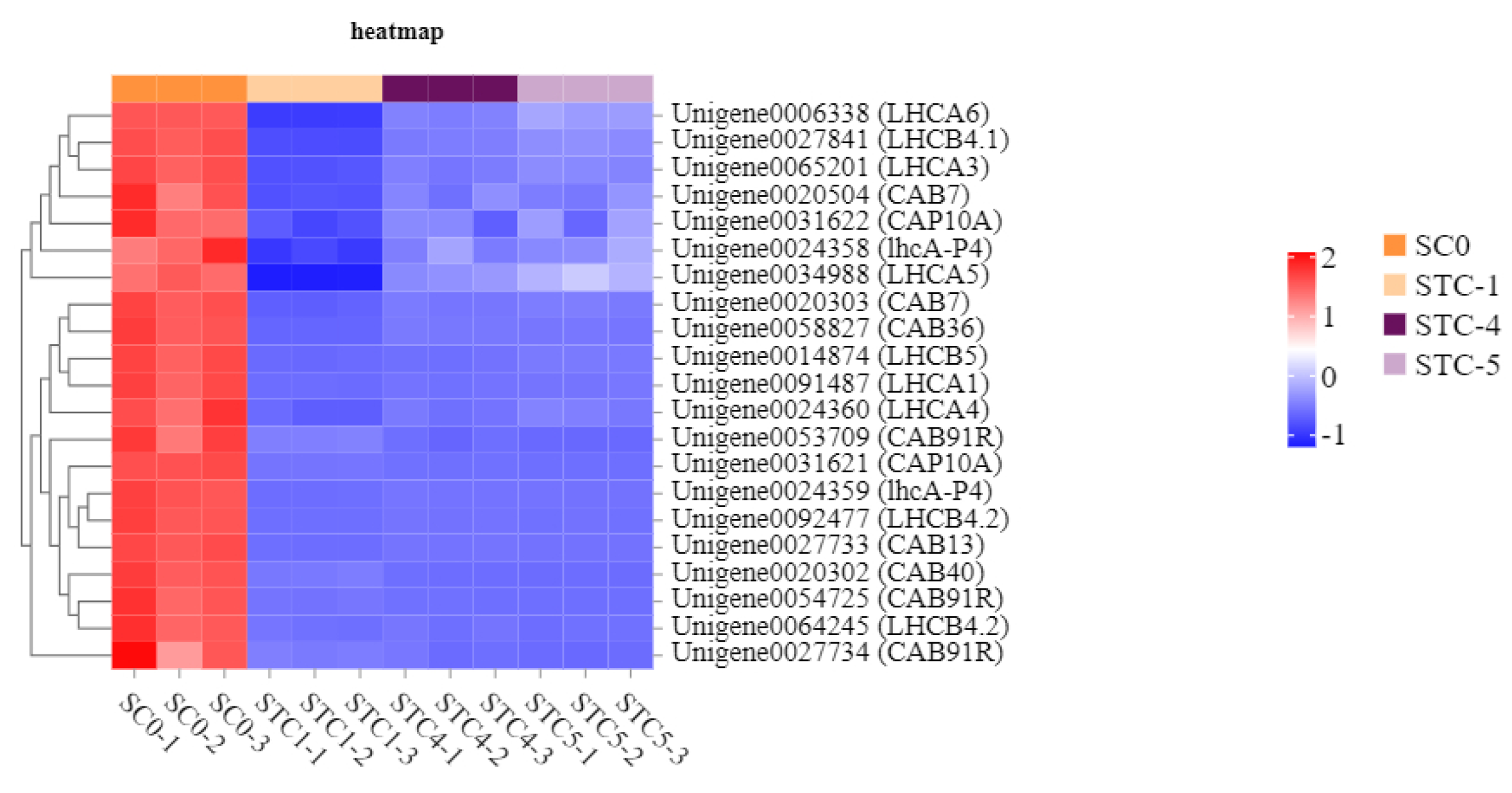 Microorganisms 13 02177 g011 Microorganisms 13 02177 g011