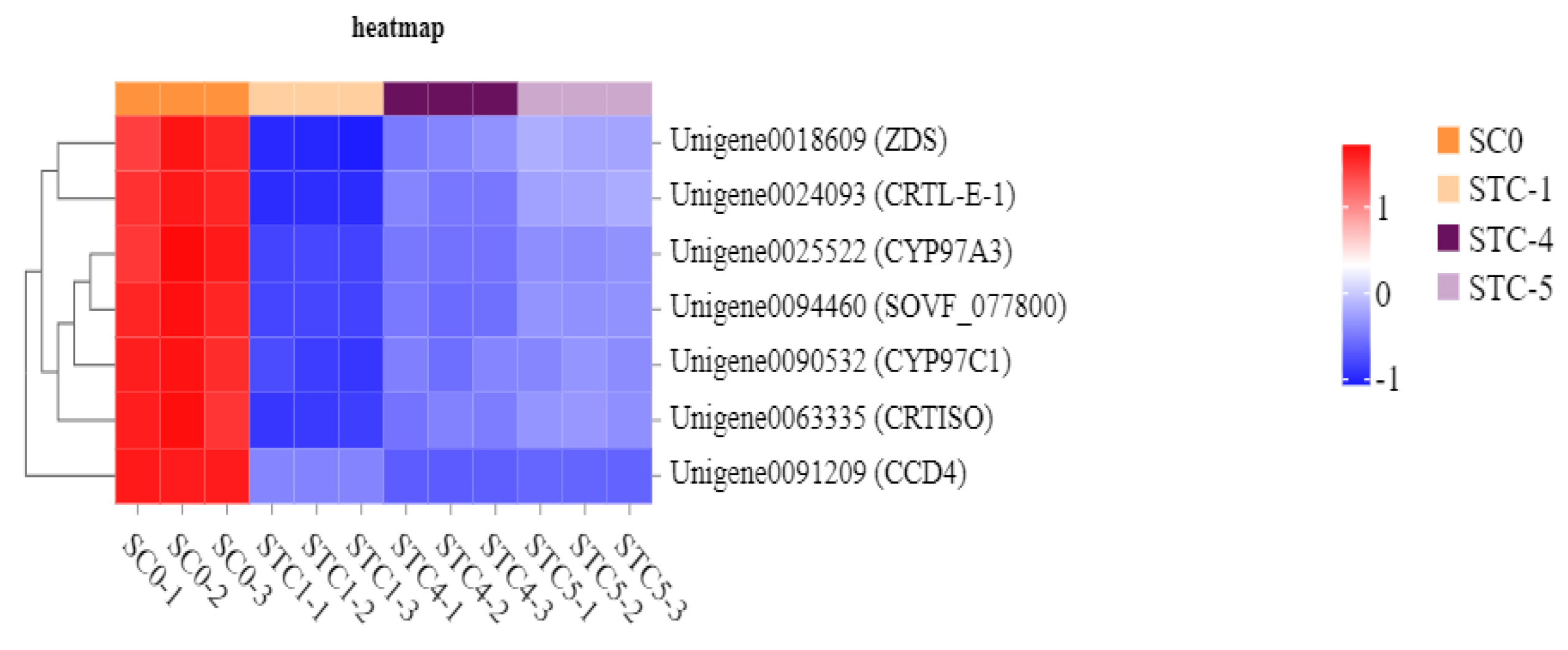 Microorganisms 13 02177 g012 Microorganisms 13 02177 g012