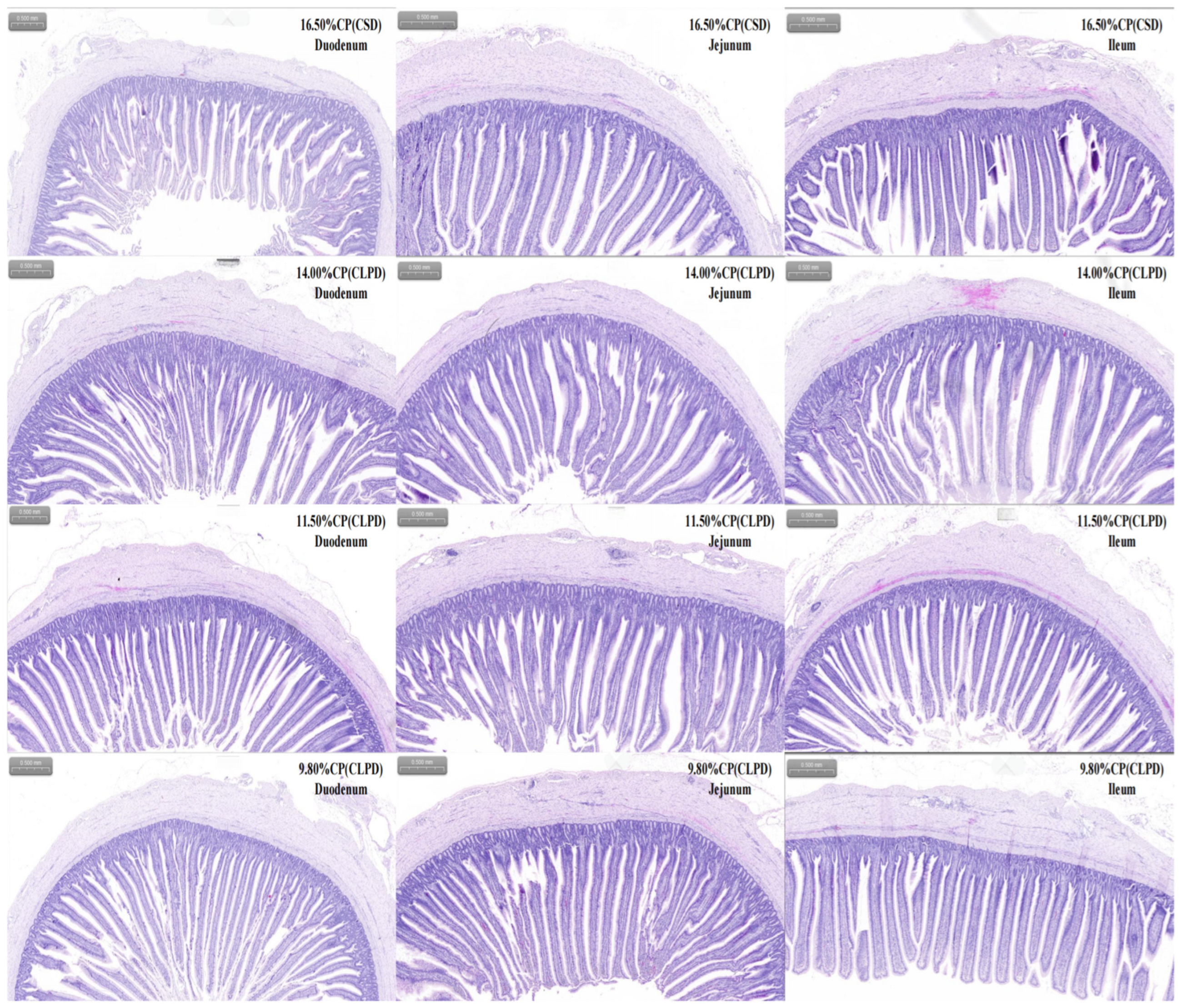 Microorganisms 13 02179 g001