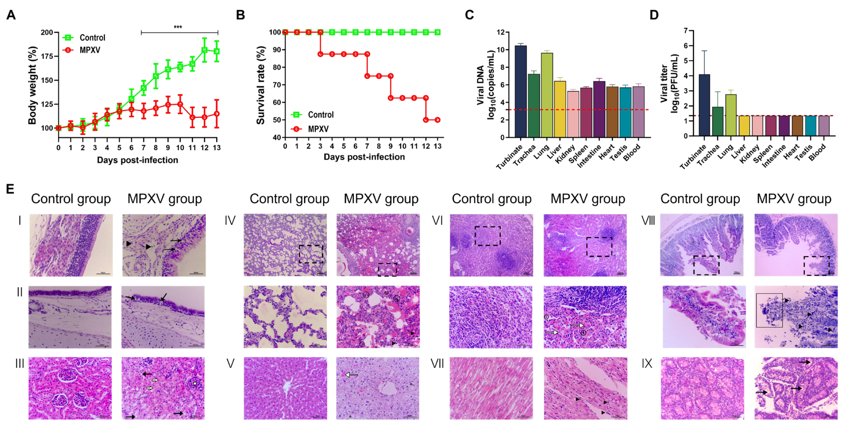 Microorganisms 13 02182 g001