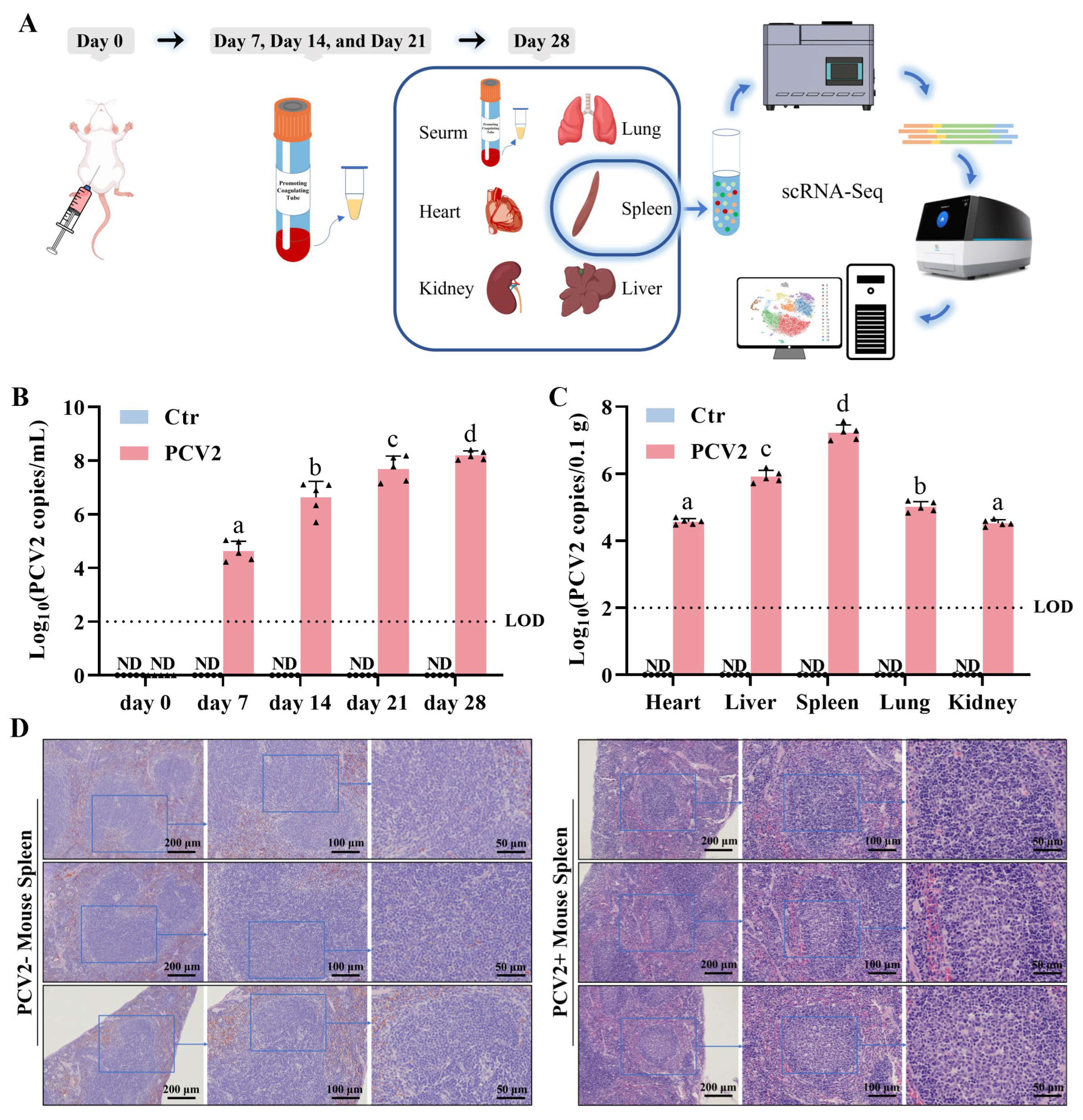 Microorganisms 13 02184 g001