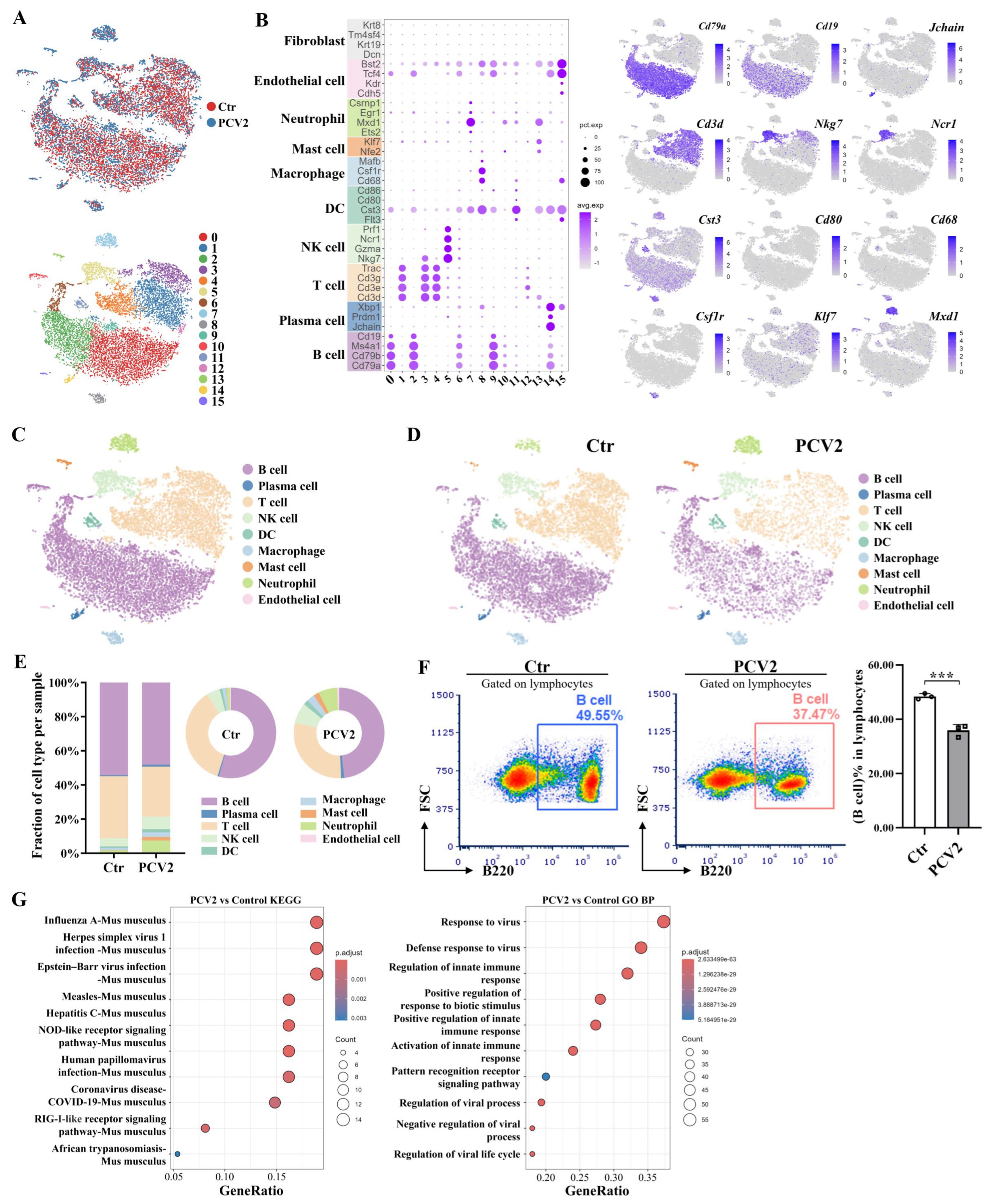Microorganisms 13 02184 g002