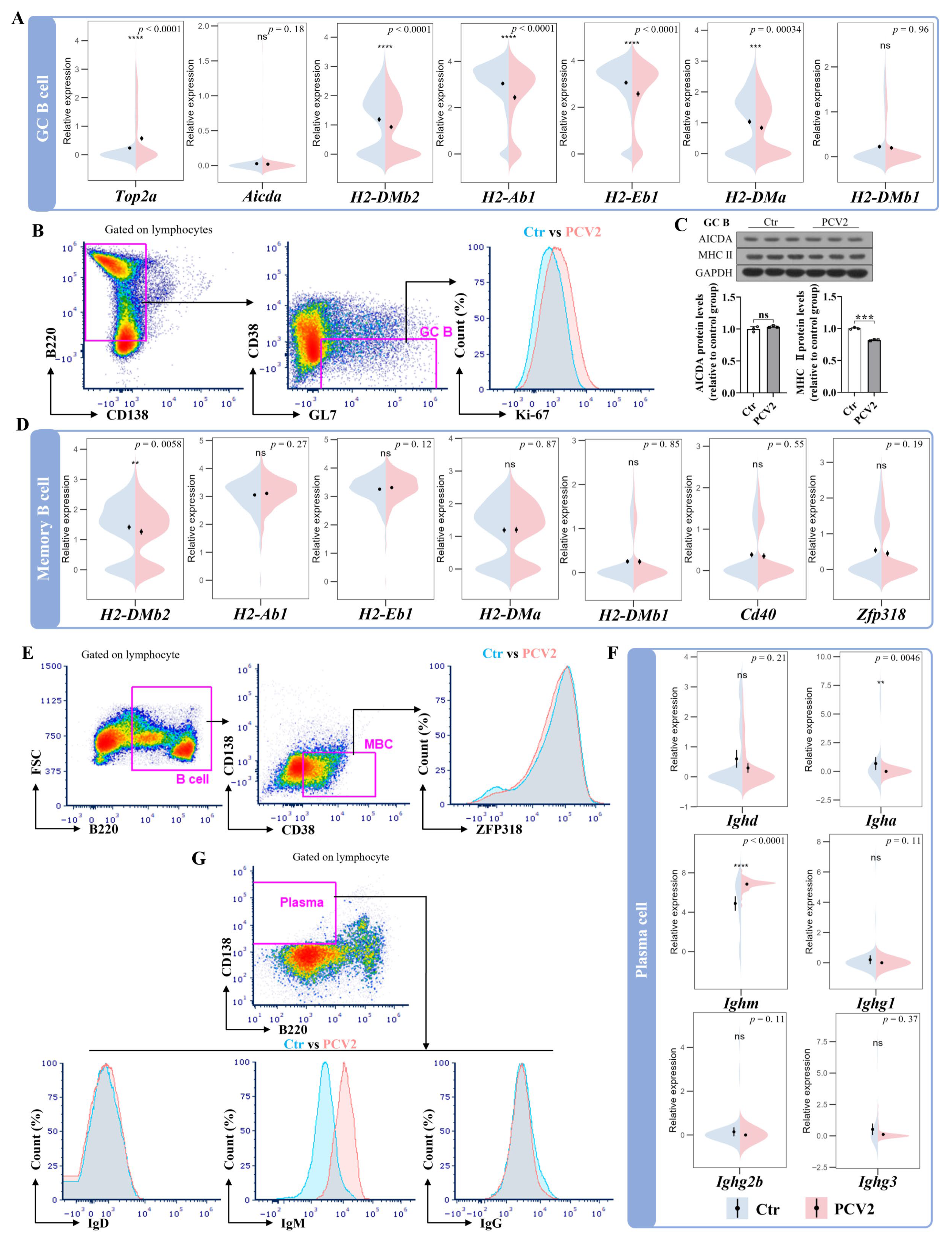 Microorganisms 13 02184 g004