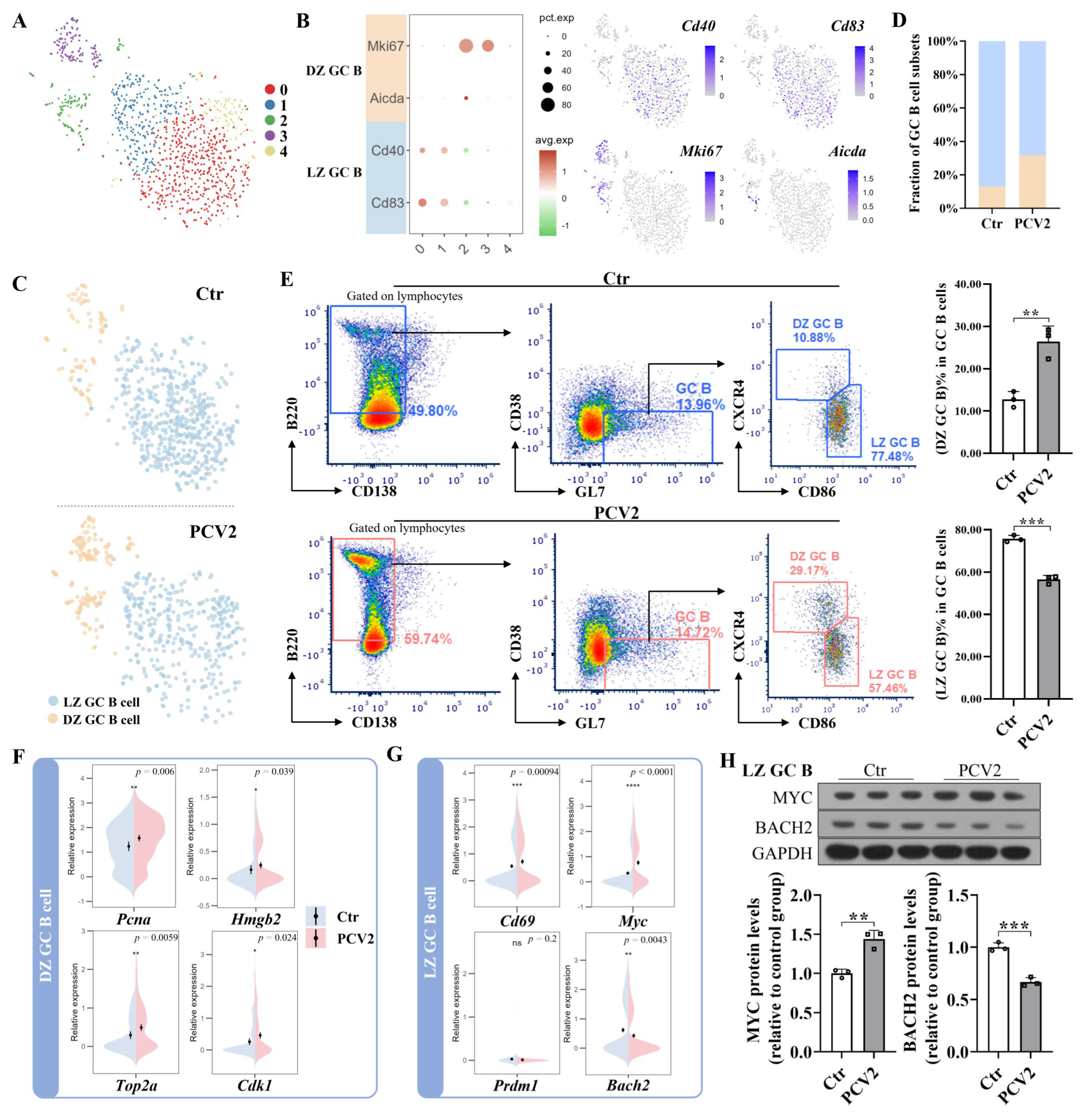 Microorganisms 13 02184 g005
