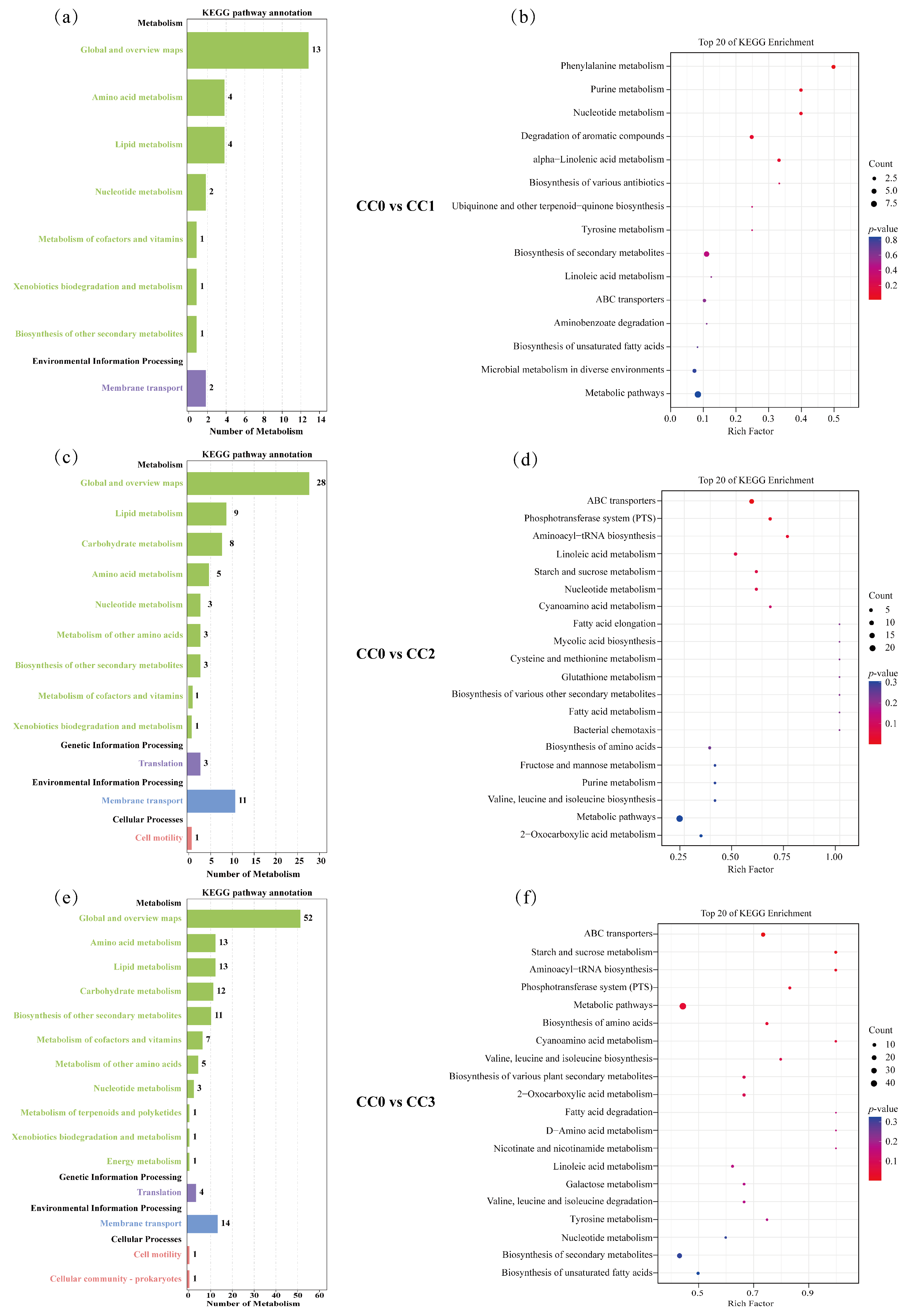Microorganisms 13 02186 g007 Microorganisms 13 02186 g007