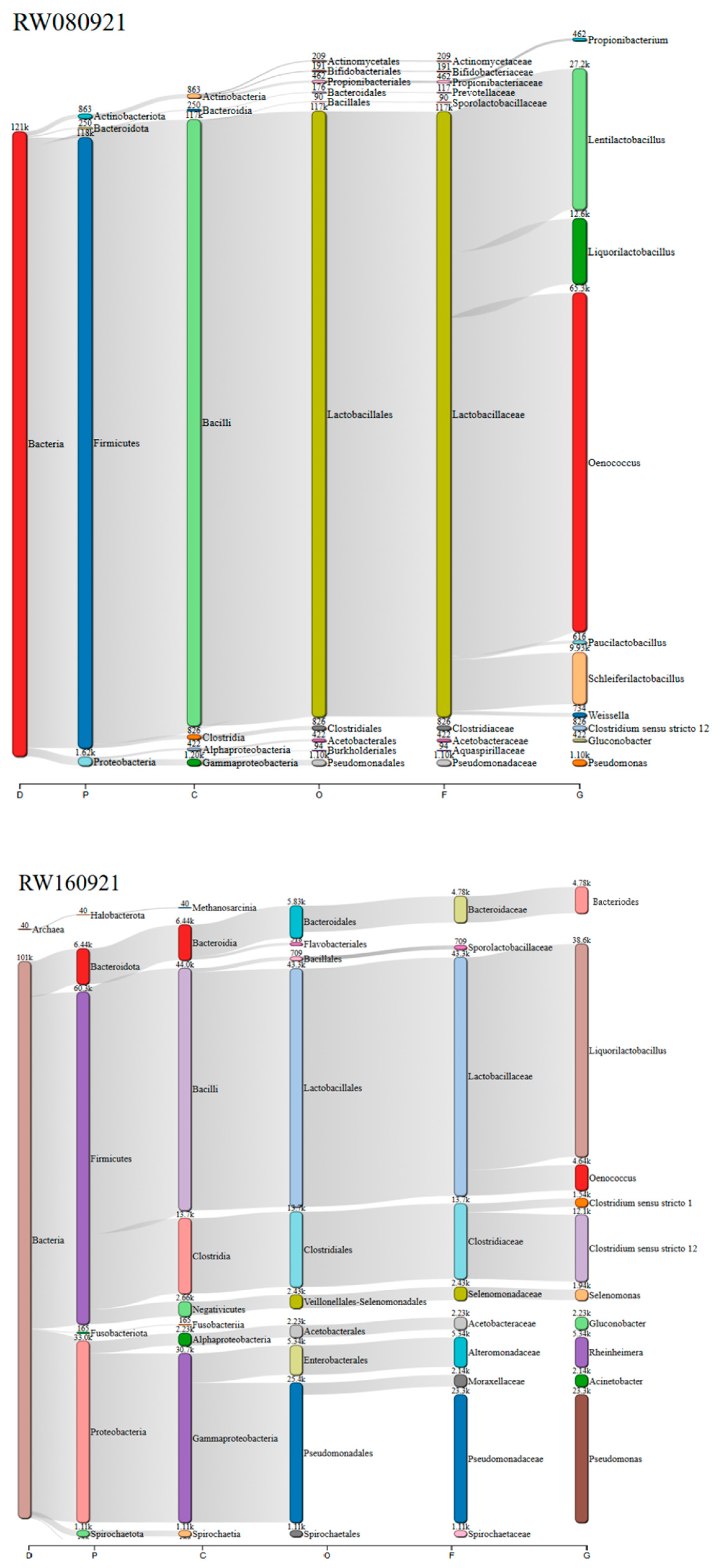 Microorganisms 13 02192 g003a Microorganisms 13 02192 g003a