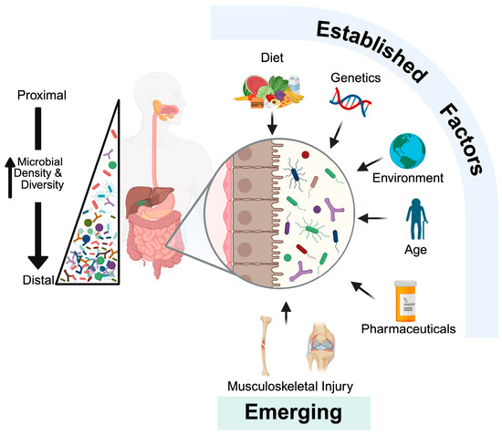 Emerging Roles of the Gut Microbiome in Musculoskeletal Injury and Repair